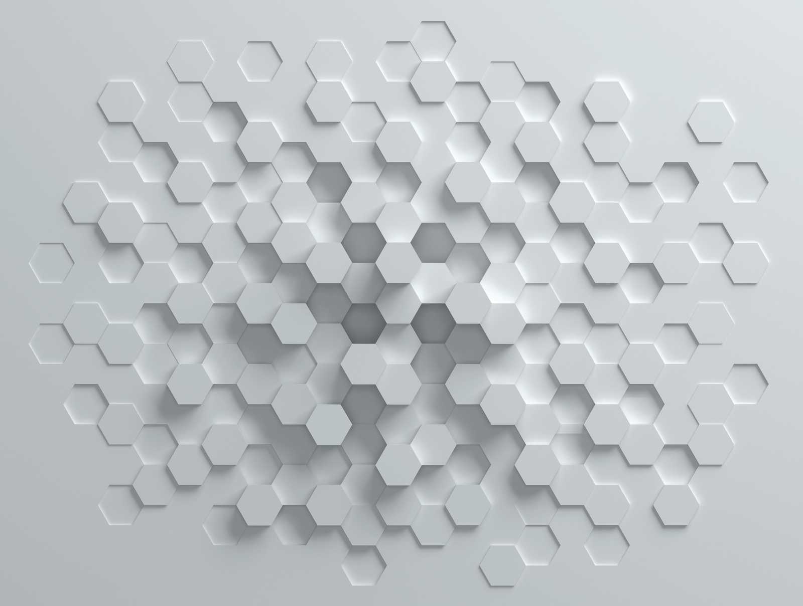             Wallpaper novelty | 3D motif wallpaper with honeycomb pattern, white & grey
        