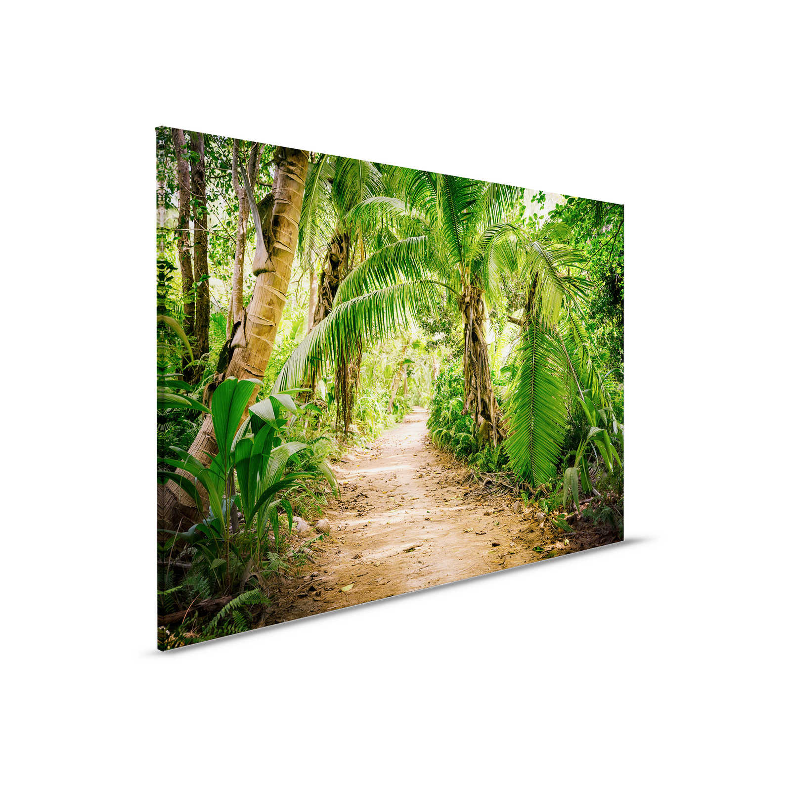         Canvas with palm tree path through a tropical landscape - 0.90 m x 0.60 m
    