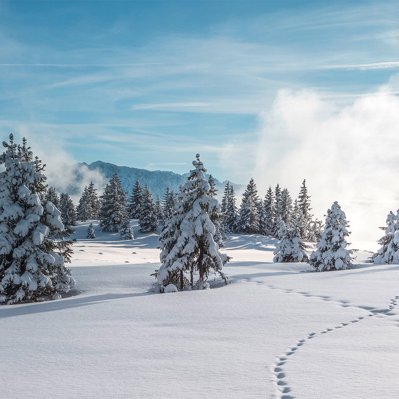         Photo wallpaper Snow and footprints in the winter forest - Premium smooth fleece
    