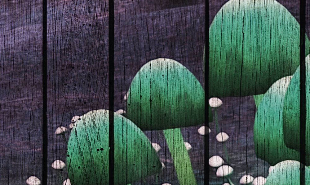             Fantasy 2 - Carta da parati foresta magica con struttura a pannelli di legno - Verde, Viola | Materiali non tessuto liscio perlato
        