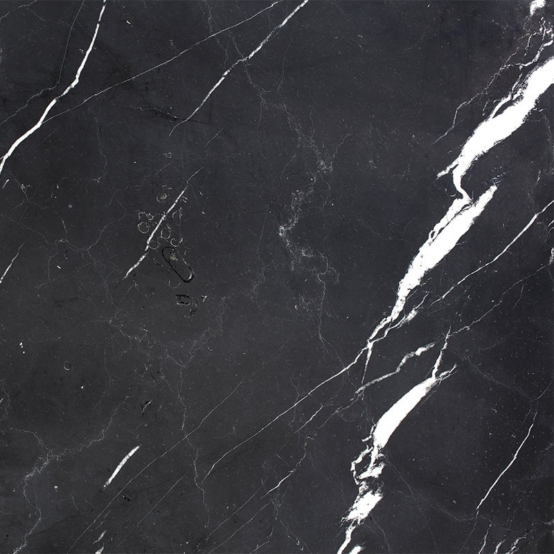 Papier peint marbre noir aspect pierre - noir, blanc
