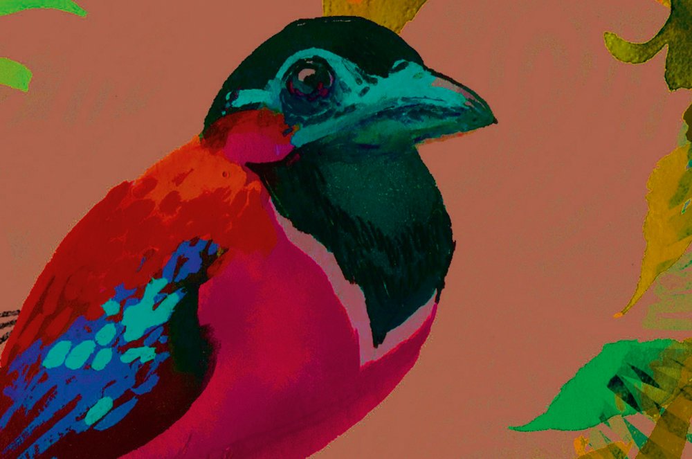             Papel pintado de pájaros en estilo collage de colores - Colorido, marrón
        