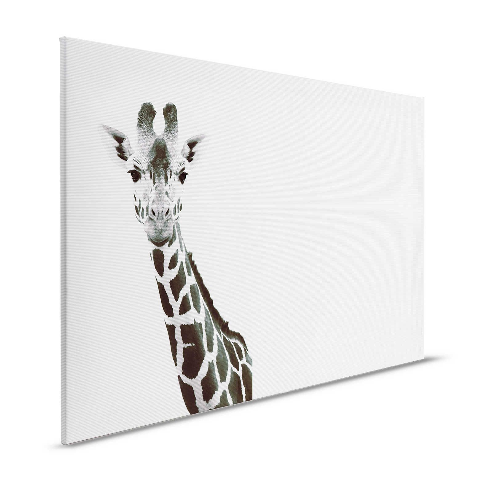 Giraffes Canvas Painting XXL Black & White Design - 1.20 m x 0.80 m
