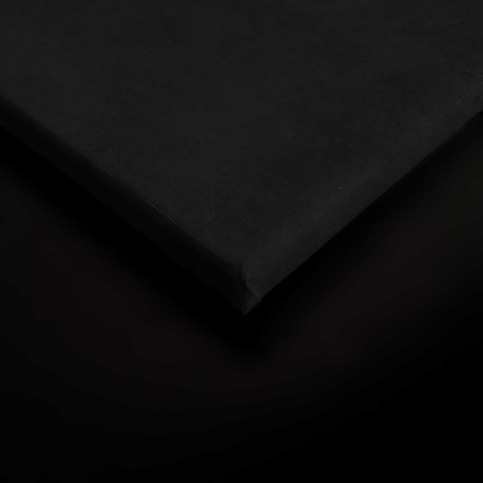             Giardino di mezzanotte 2 - Quadro su tela nera Ramo di fiori bianchi - 0,60 m x 0,90 m
        