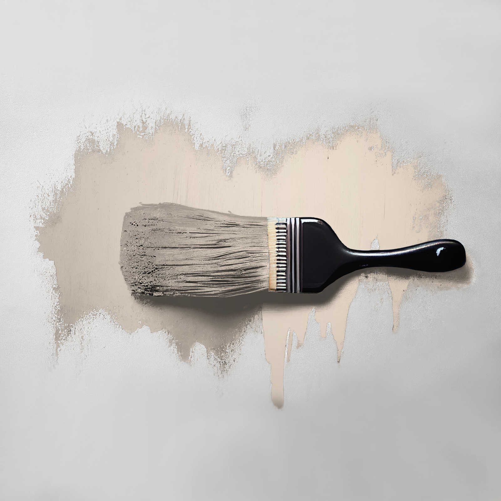             Wall Paint TCK6008 »Pure Pampas« in delicate beige – 5.0 litre
        