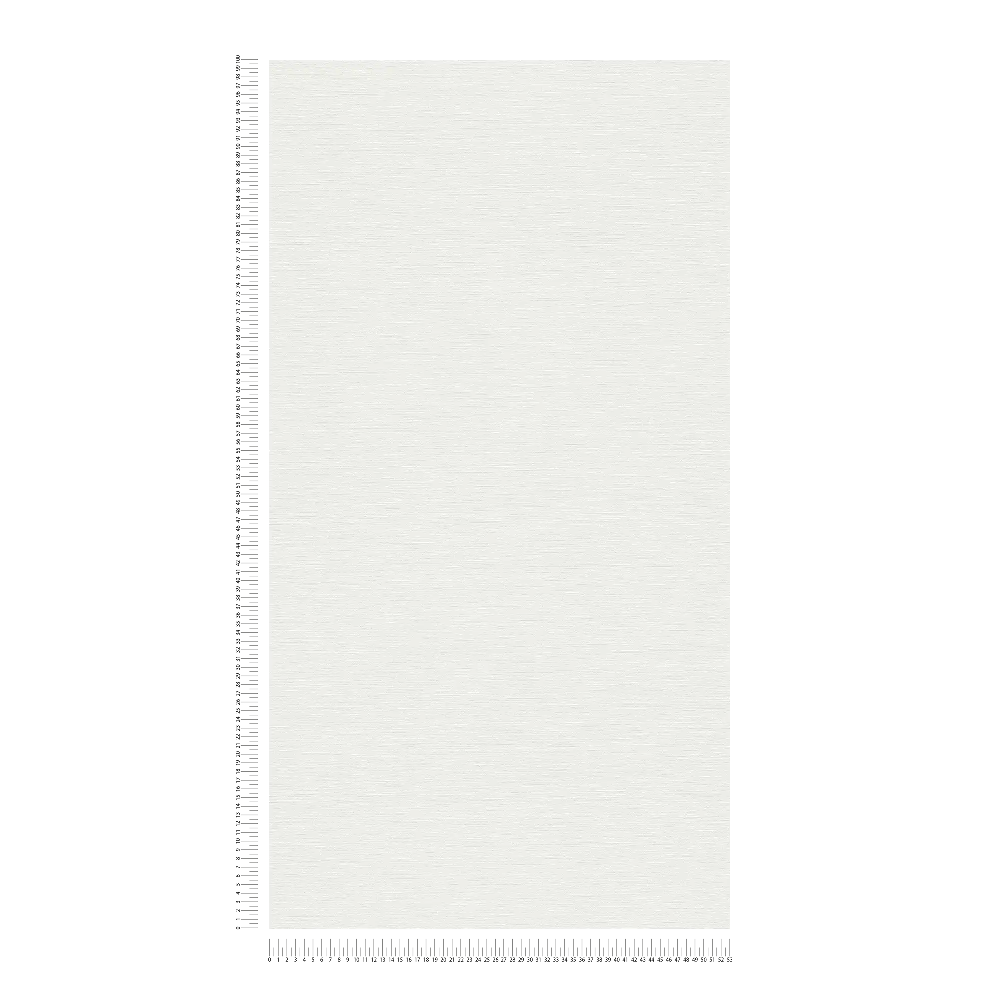            Carta da parati in tessuto non tessuto liscio con struttura in lino - bianco
        