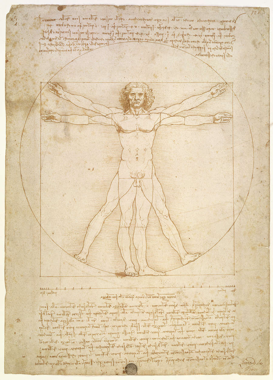             L'Uomo Vitruviano" murale di Leonardo da Vinci
        
