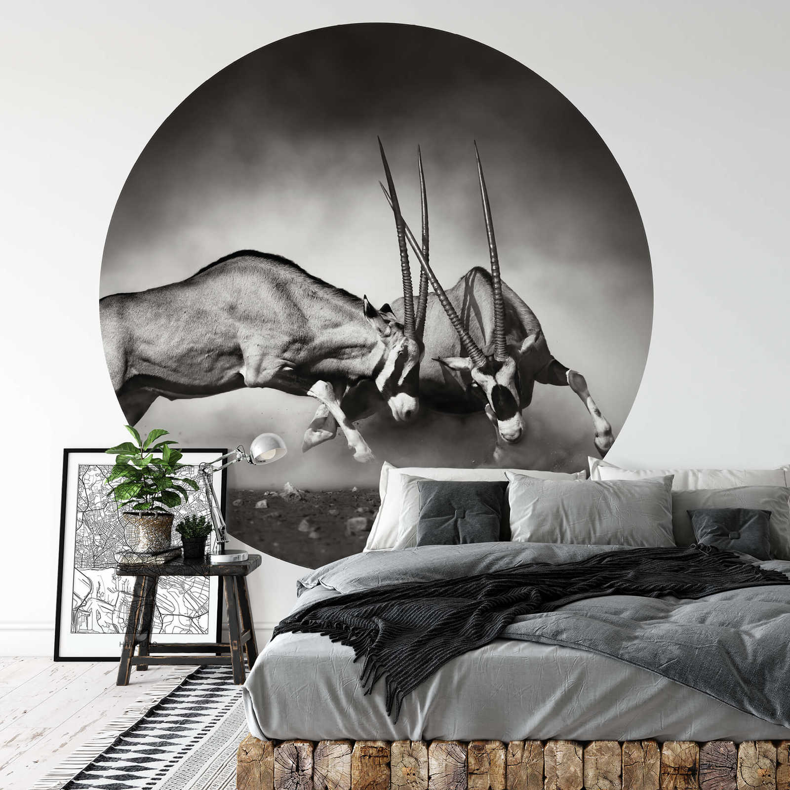             Round photo wallpaper fight of two bulls - black, white
        