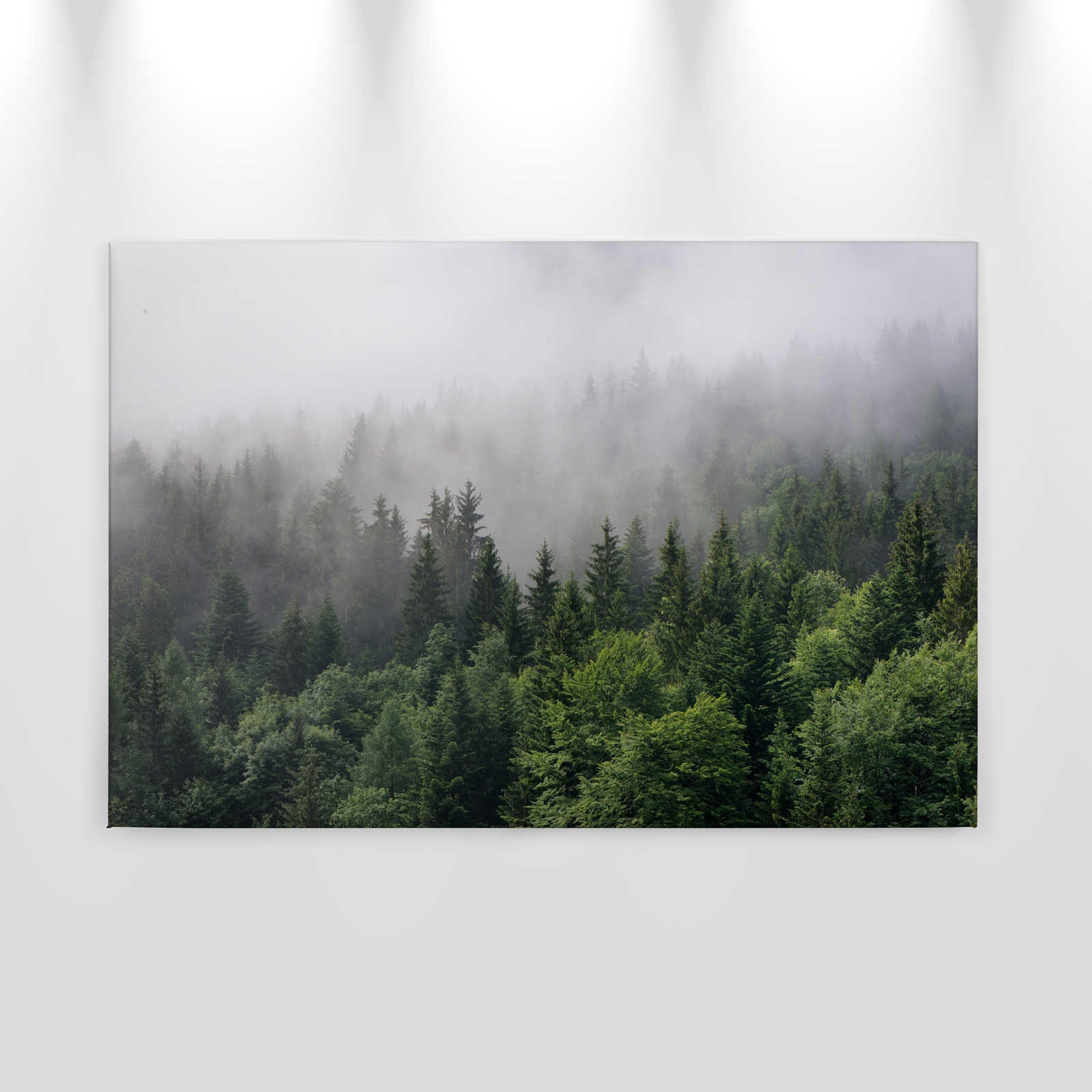             Tela con foresta dall'alto in una giornata di nebbia - 0,90 m x 0,60 m
        