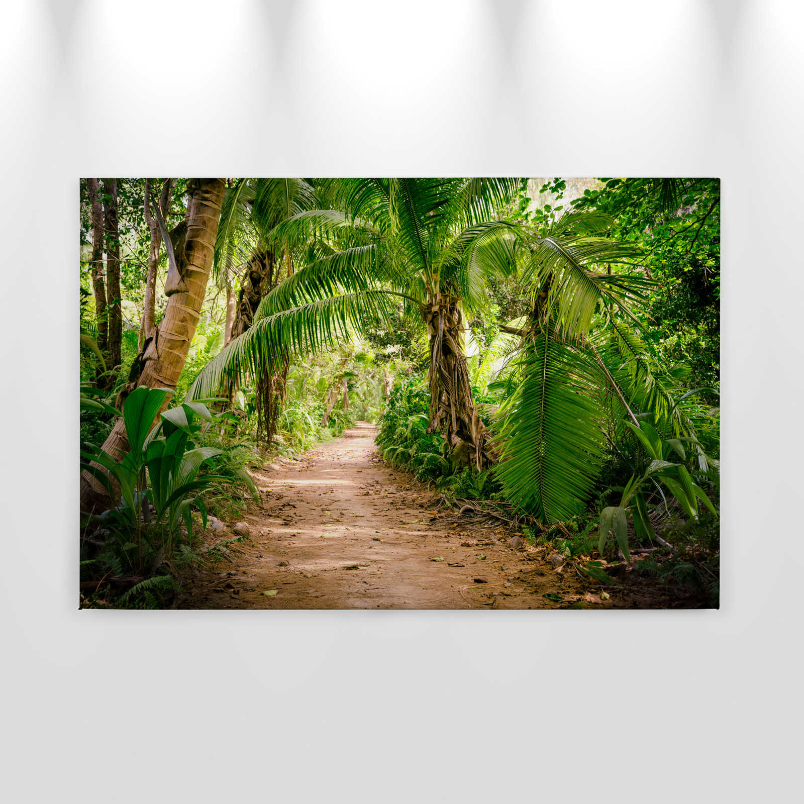             Toile avec chemin de palmiers à travers un paysage tropical - 0,90 m x 0,60 m
        