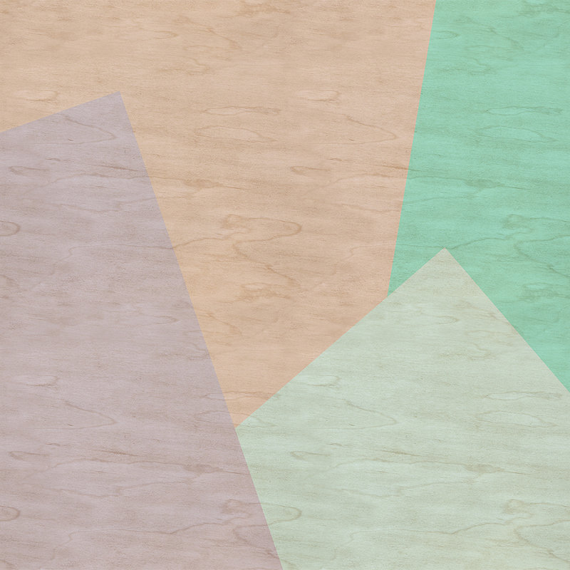 Inaly 1 - Papel pintado fotográfico abstracto y colorido en estructura de contrachapado - Beige, Verde | Tejido no tejido liso mate
