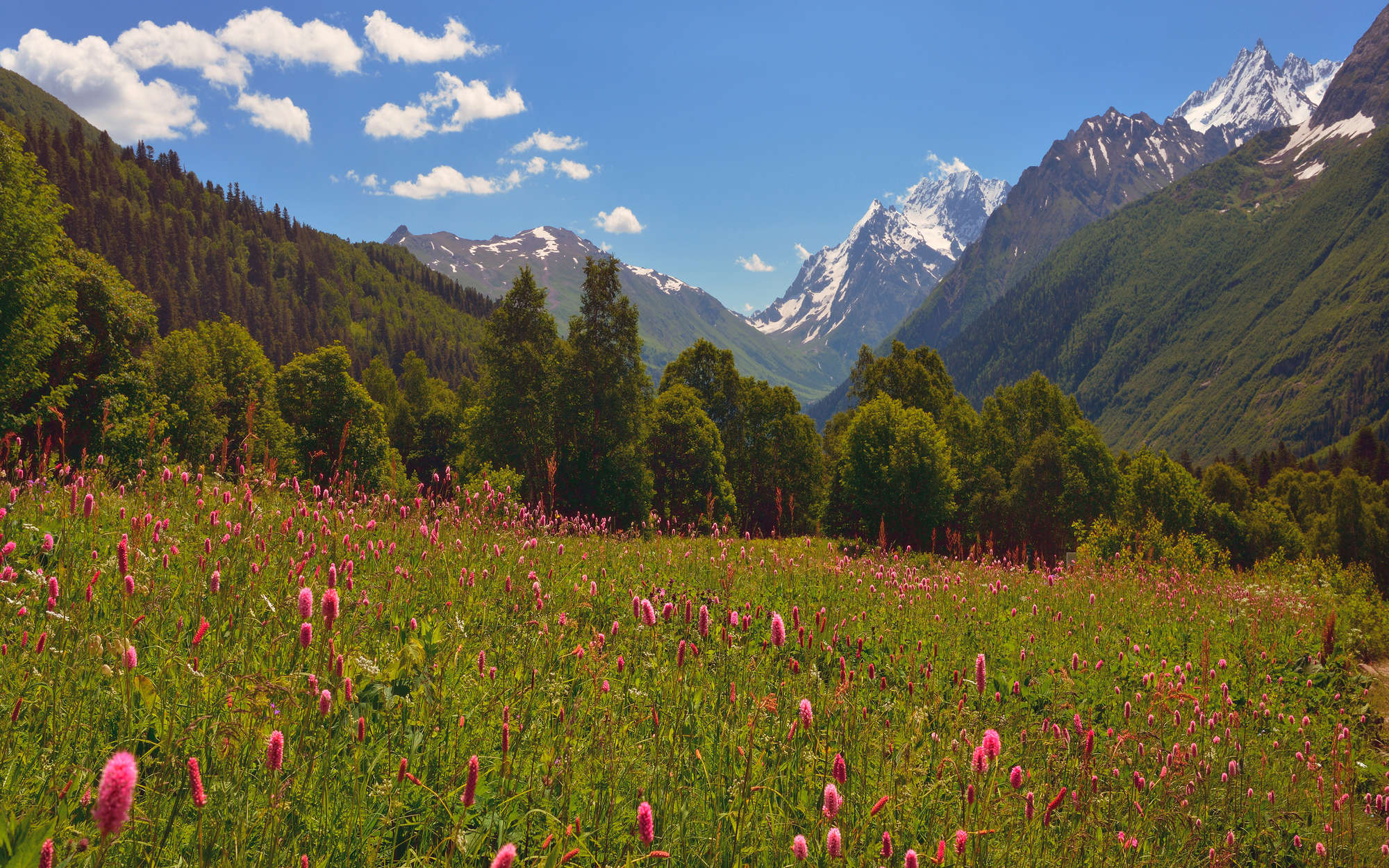             Nature Wallpaper Meadow and Mountain Landscape - Premium Smooth Non-woven
        