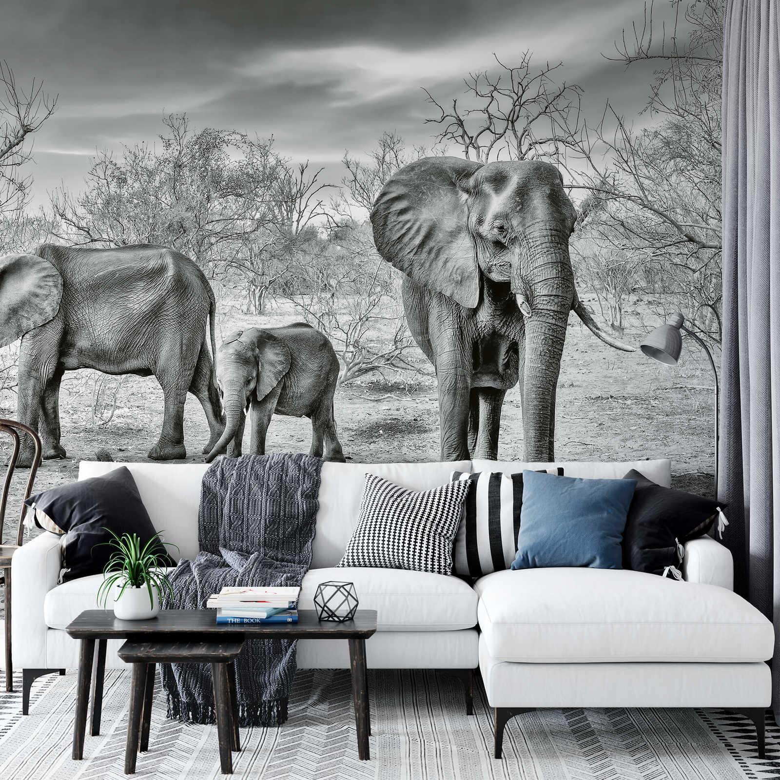             Photo wallpaper elephants family - grey, white, black
        