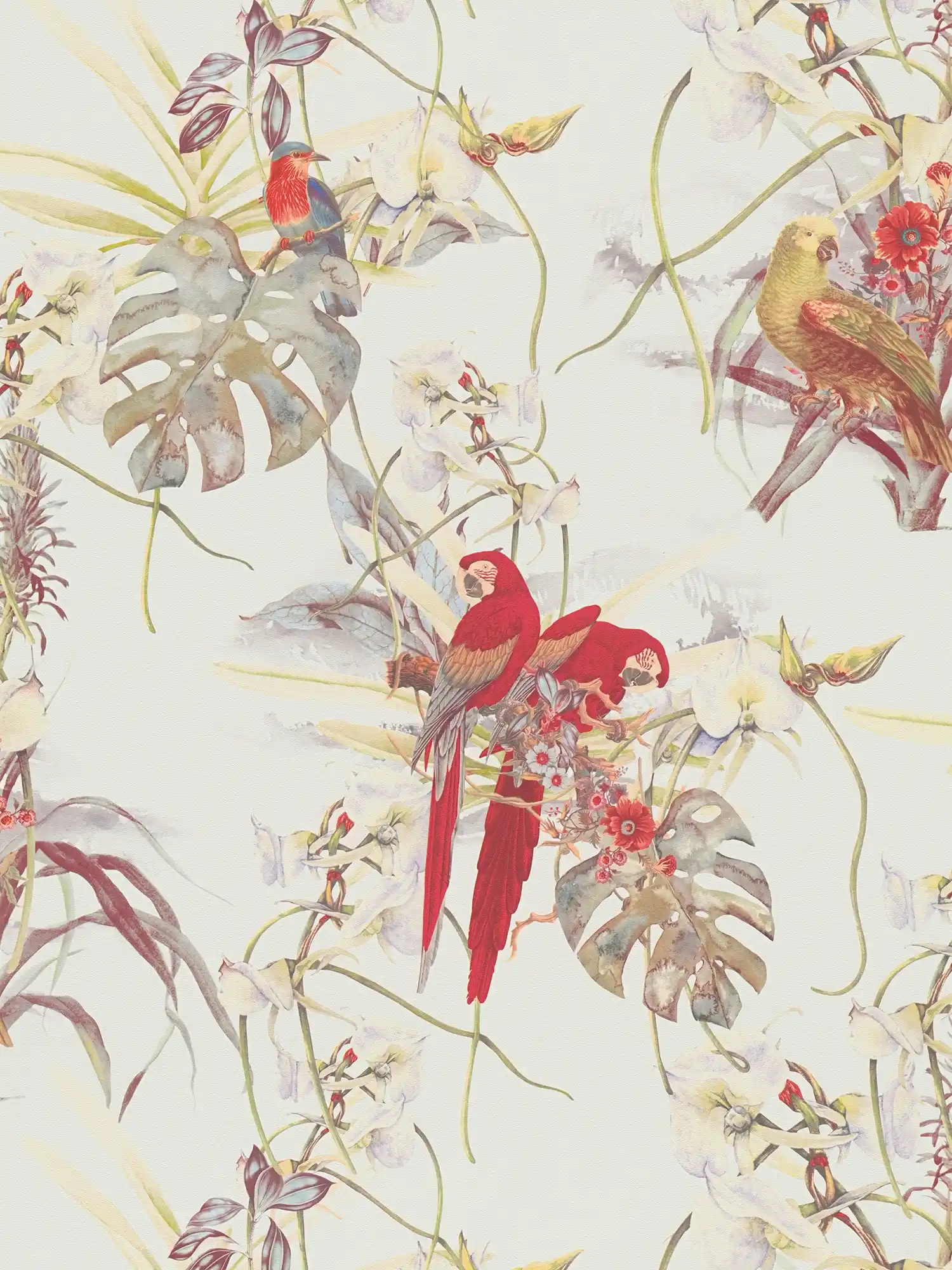 Papier peint design tropical, perroquet & fleurs exotiques - blanc, rouge
