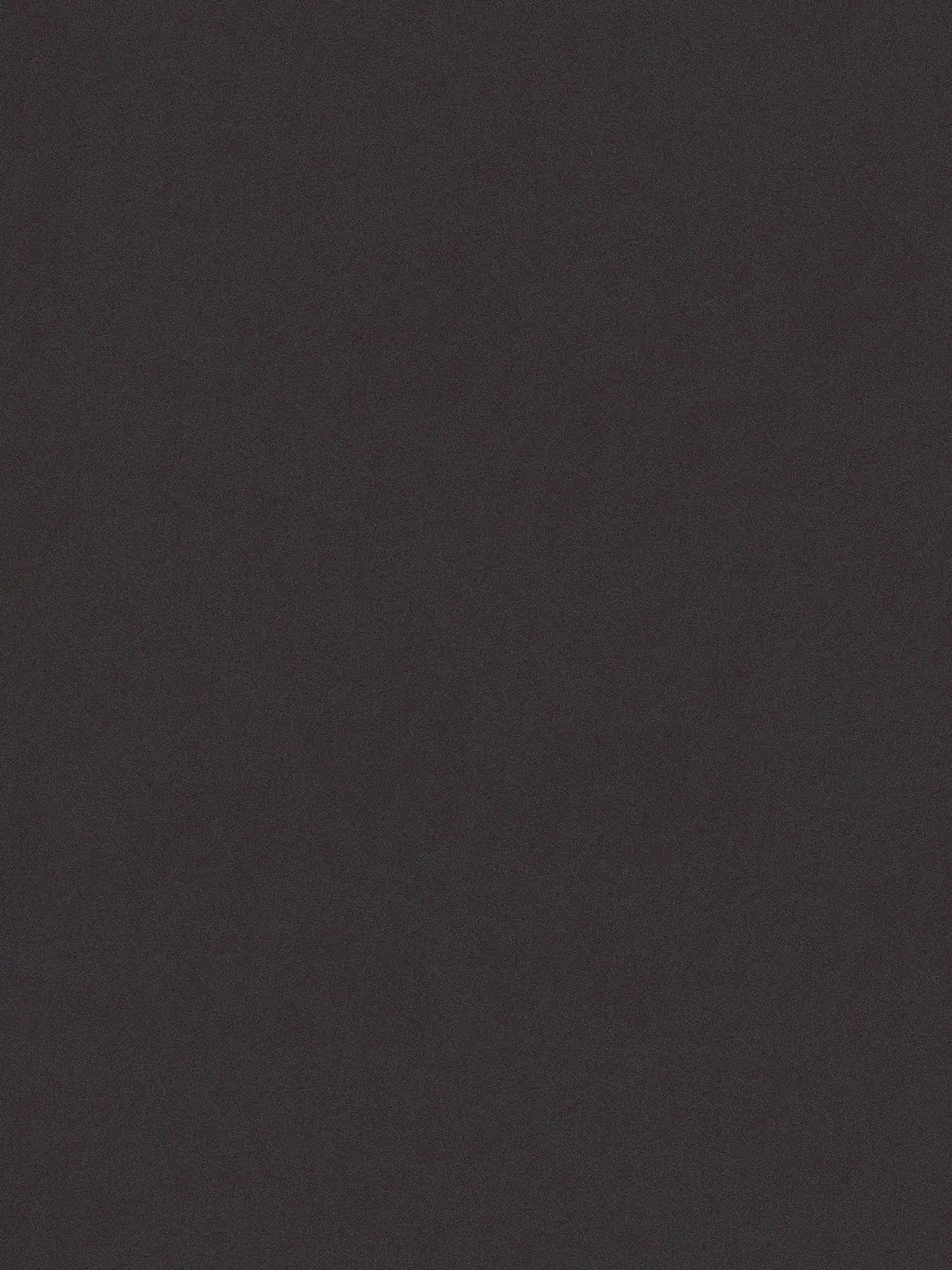 Papel pintado negro MICHALSKY con patrón de estructura forrada
