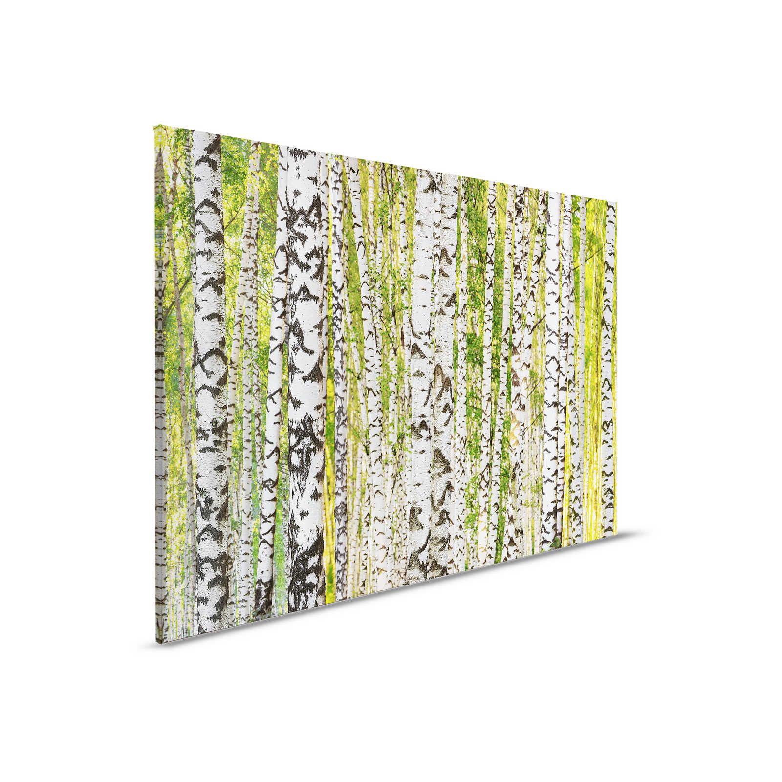         Birch Forest Canvas Painting Tree Trunk Motif - 0.90 m x 0.60 m
    