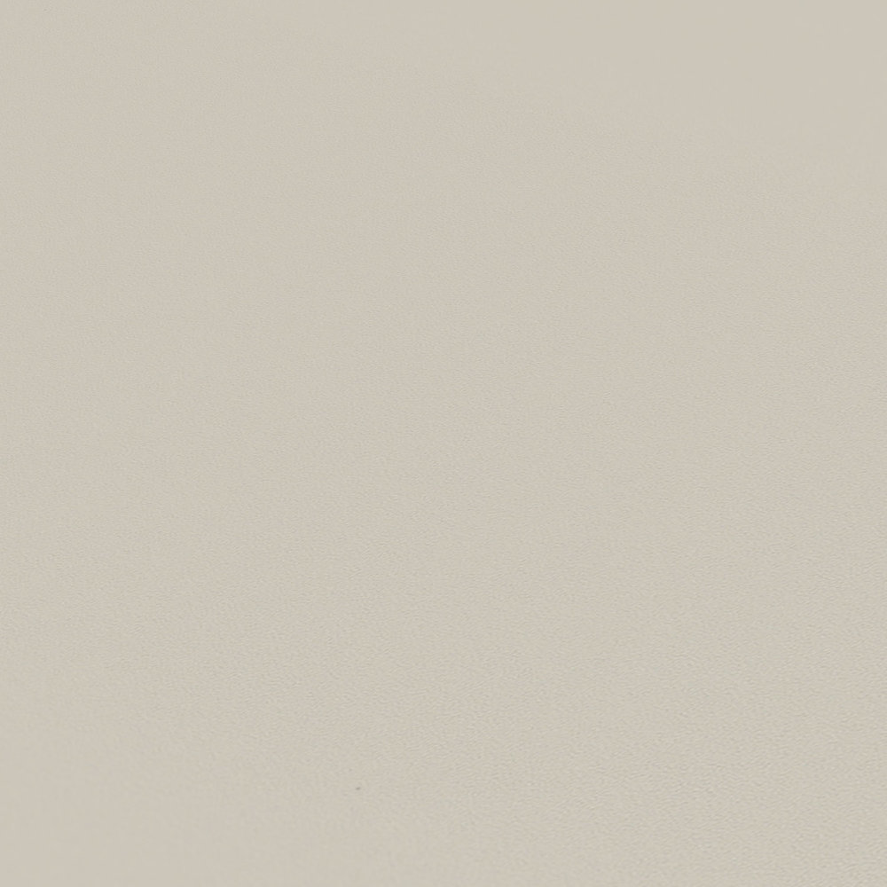            Papier peint uni mat avec texture de surface - beige, gris
        