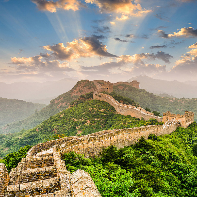 Fotomurali cinese Wall in the sunshine - vello liscio in madreperla
