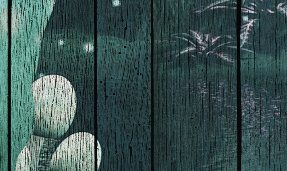             Fantasy 1 - Digital behang Betoverd bos met houtlook - Groen | Premium gladde fleece
        