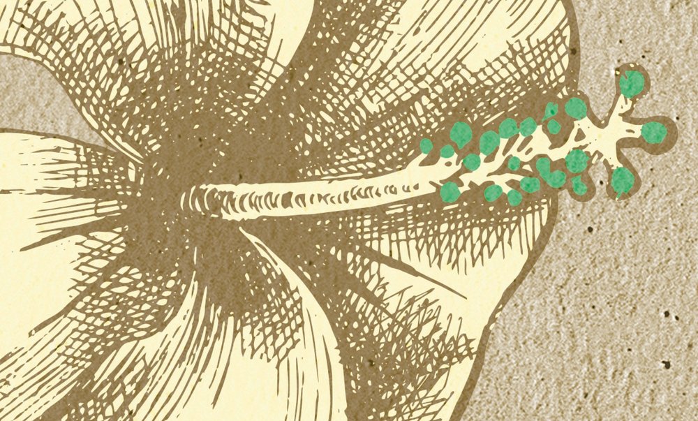             Muurschildering Schets Flamingo en Bladeren - Beige, Groen
        
