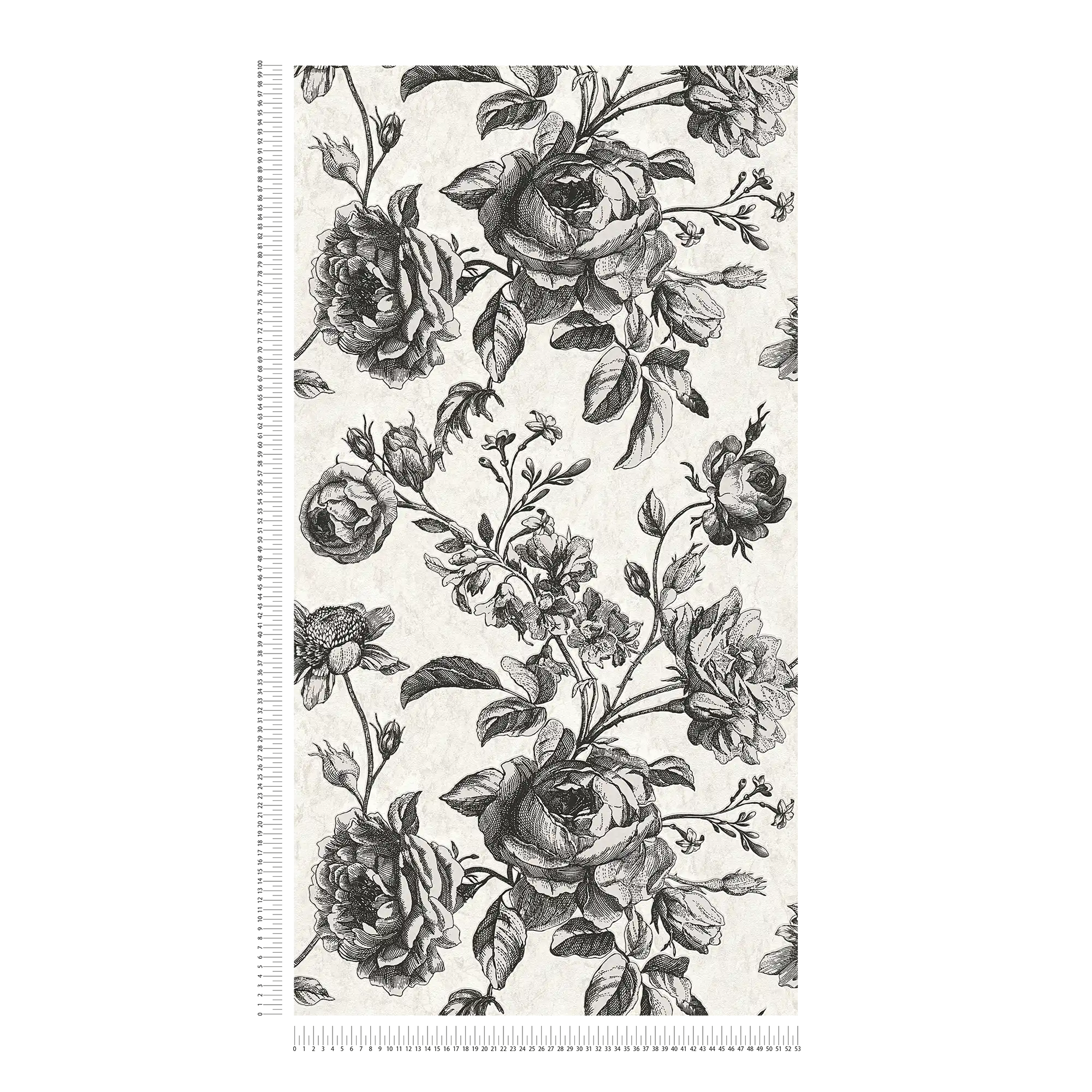             Zwart-crème behang rozen bloemenpatroon - wit, zwart, grijs
        
