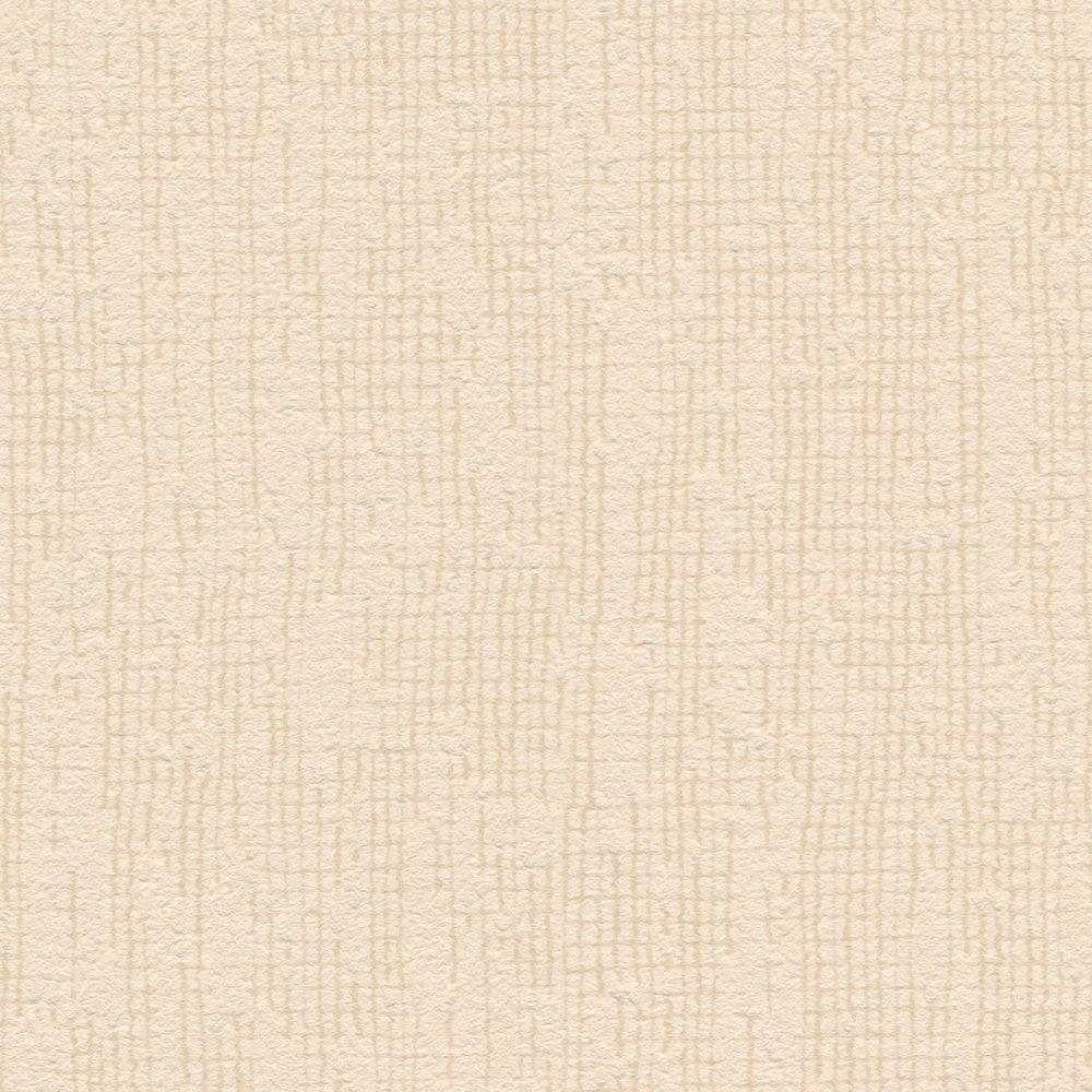             Beige wallpaper plain with texture details in Scandi style
        