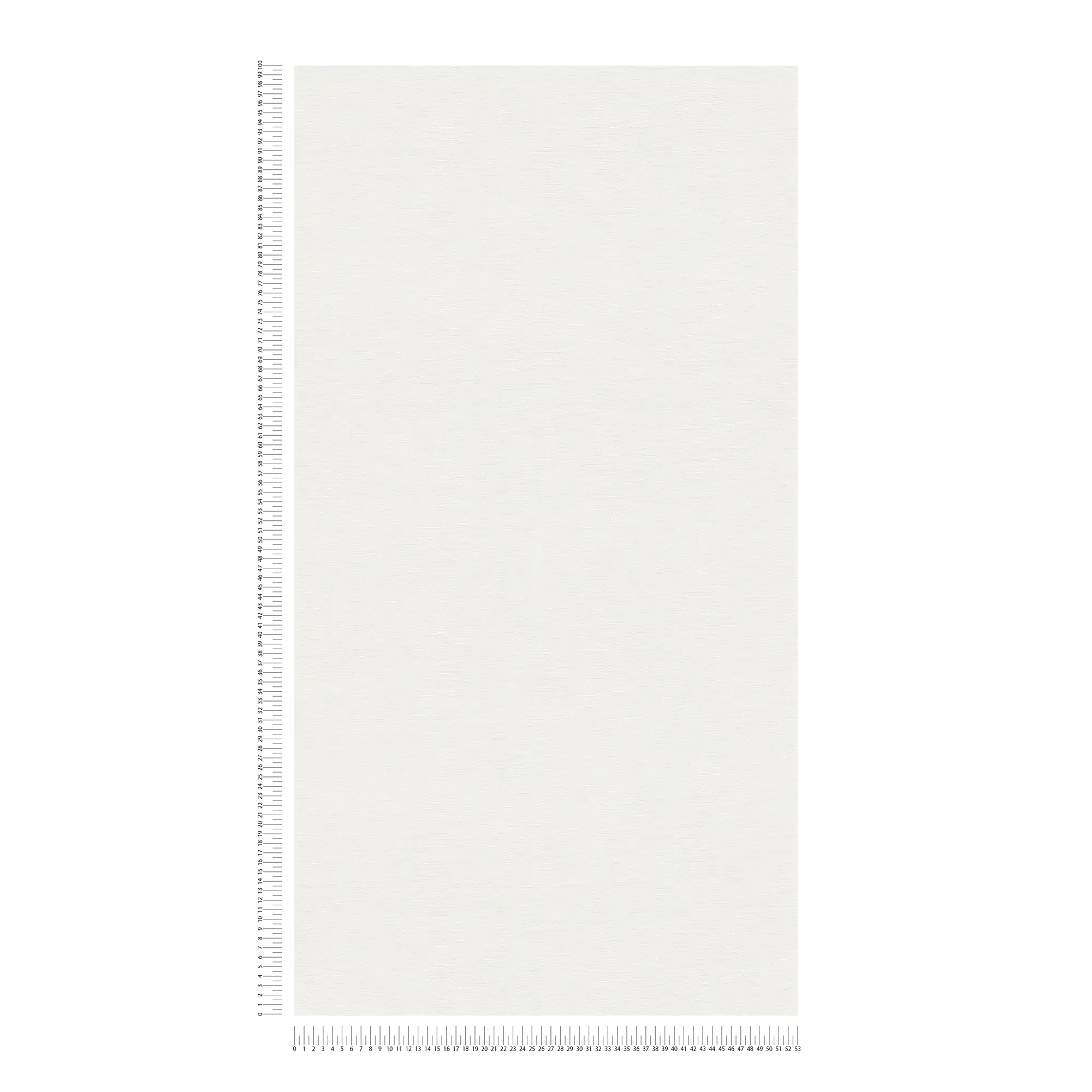             Carta da parati unitaria bianca opaca con disegno della struttura in look gesso
        