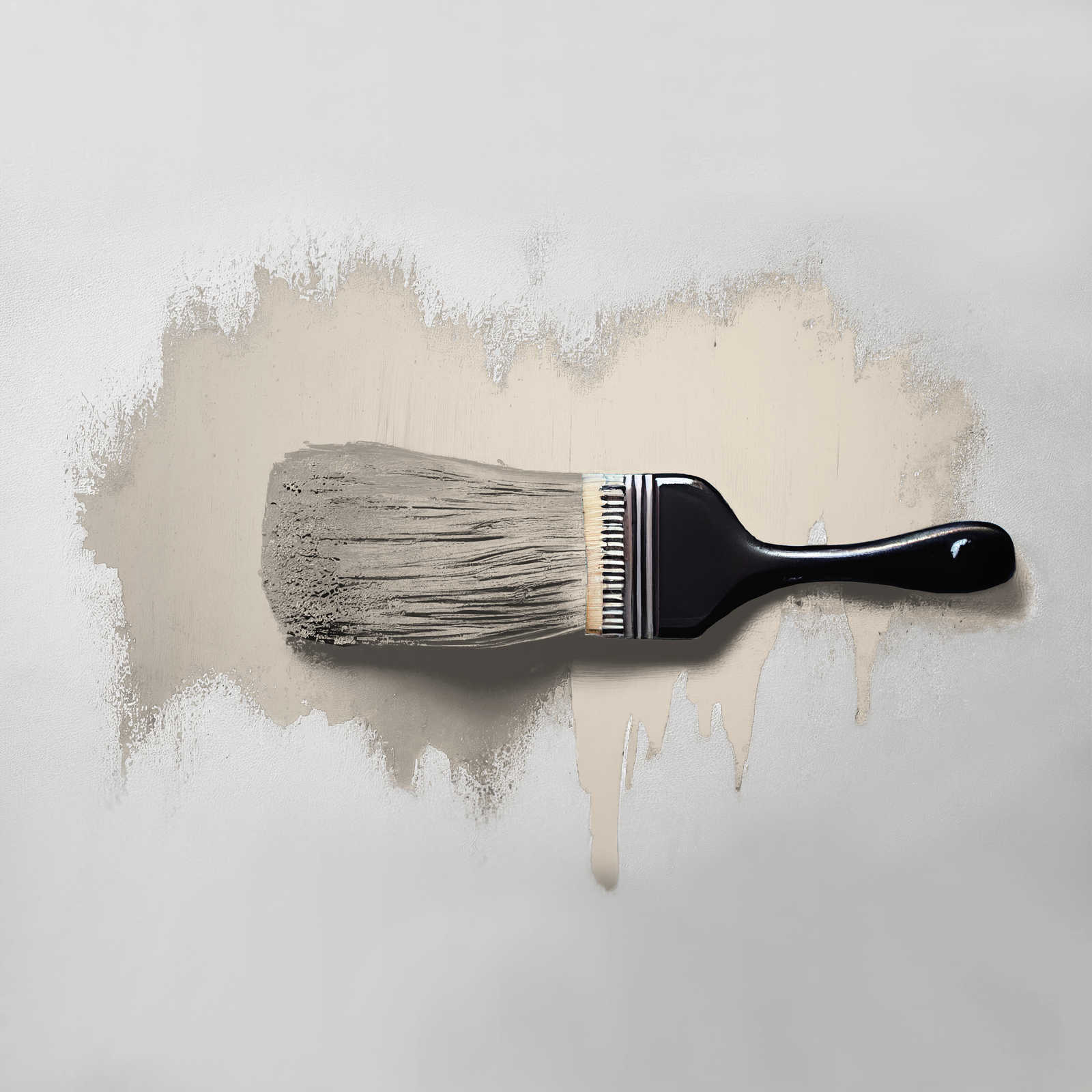             Pittura murale TCK6000 »Sweet Sesame« in beige senza tempo – 2,5 litri
        