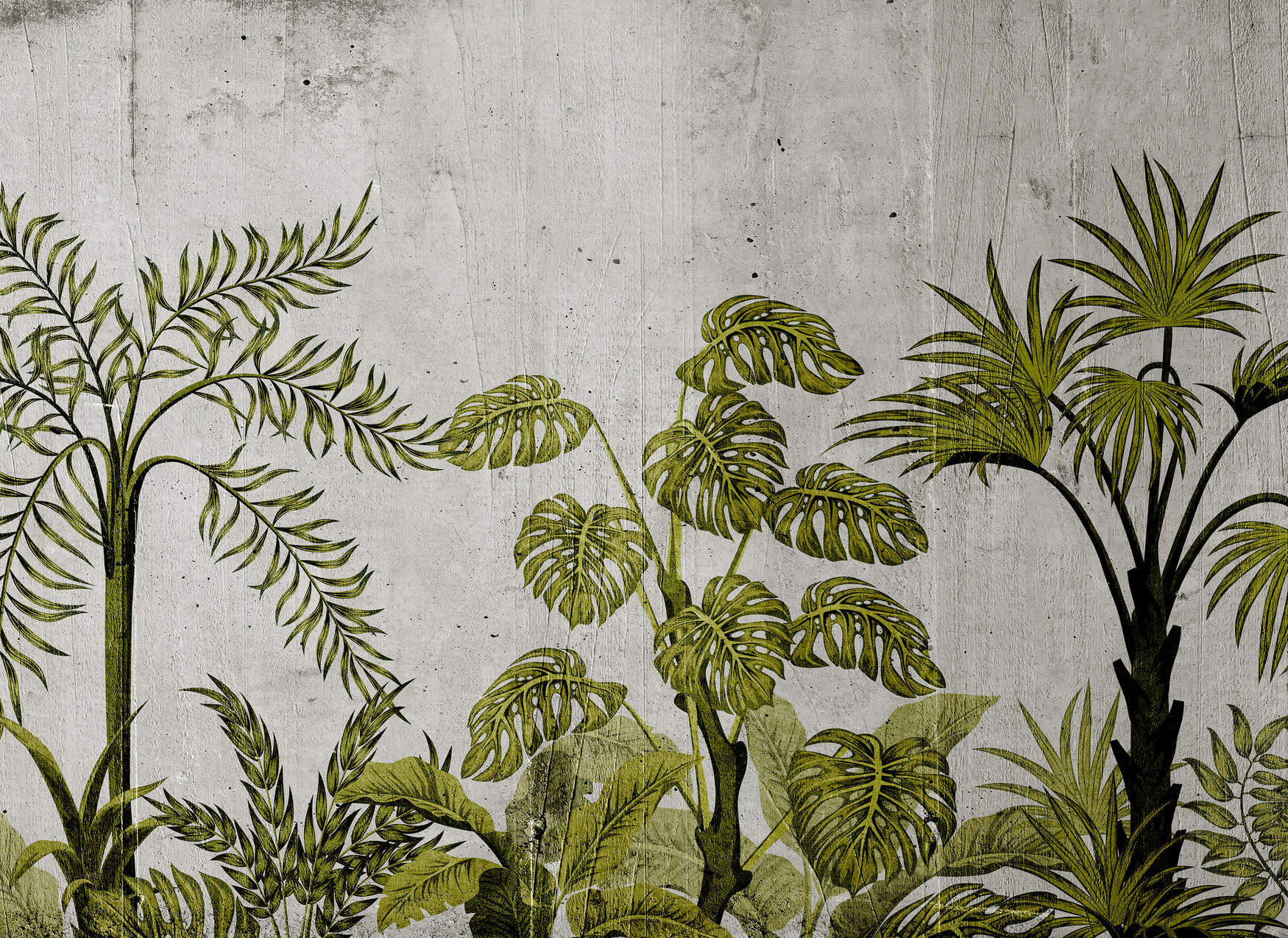             Digital behang met jungle-motief op betonnen achtergrond - groen, grijs
        