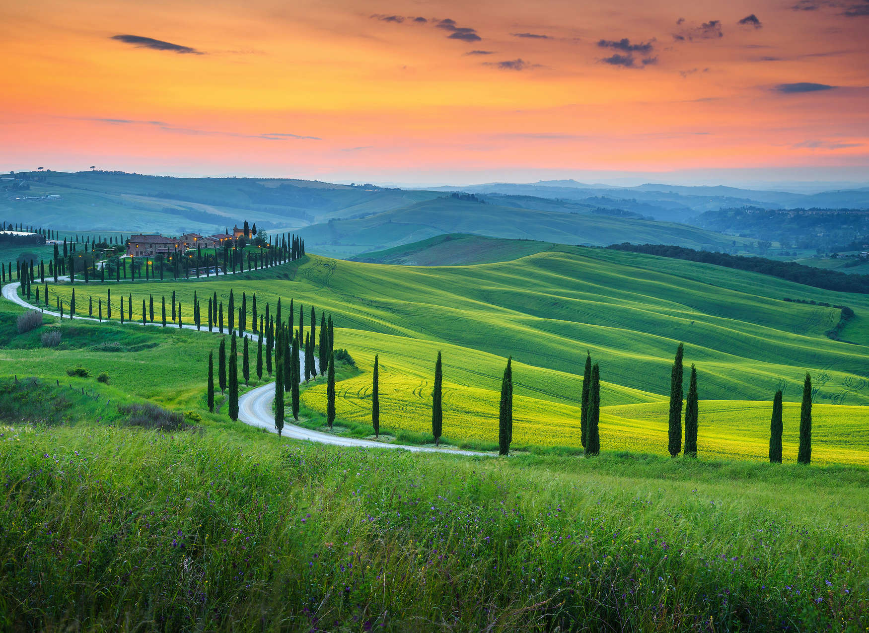             Tuscany sunrise mural - green, orange, yellow
        