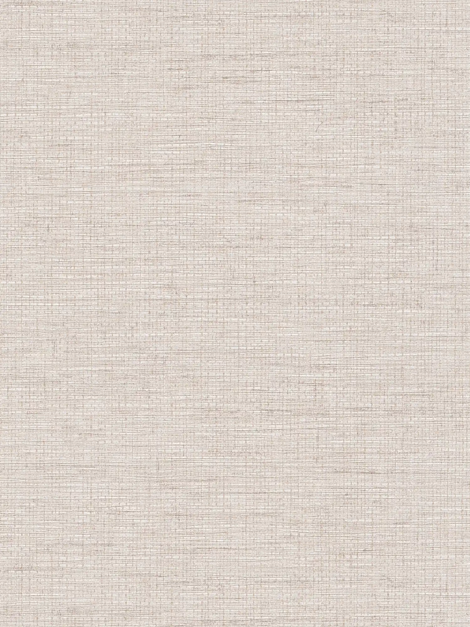 Non-woven wallpaper ethno design grey with raffia pattern
