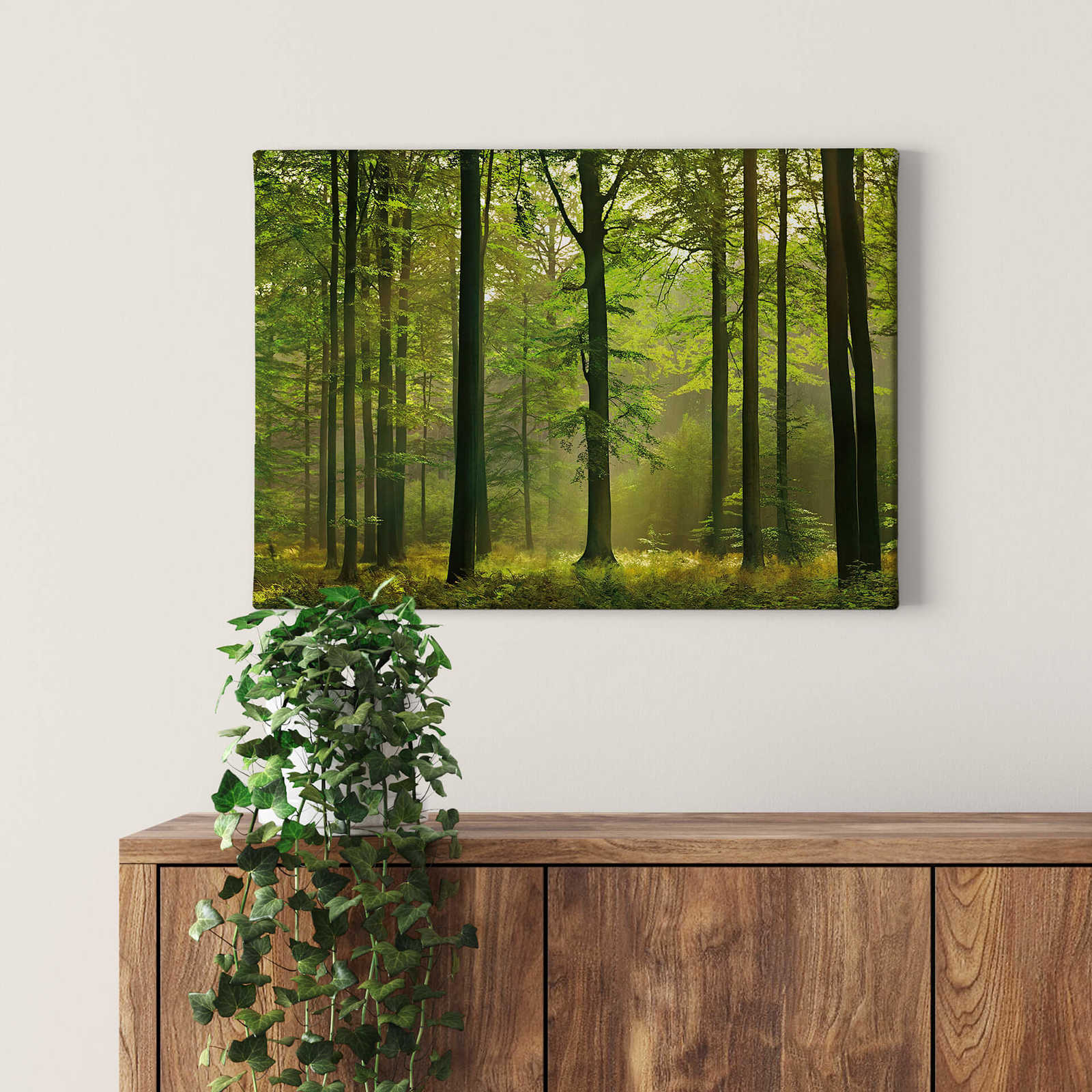             Canvas print forest motif autumn leaves – green
        