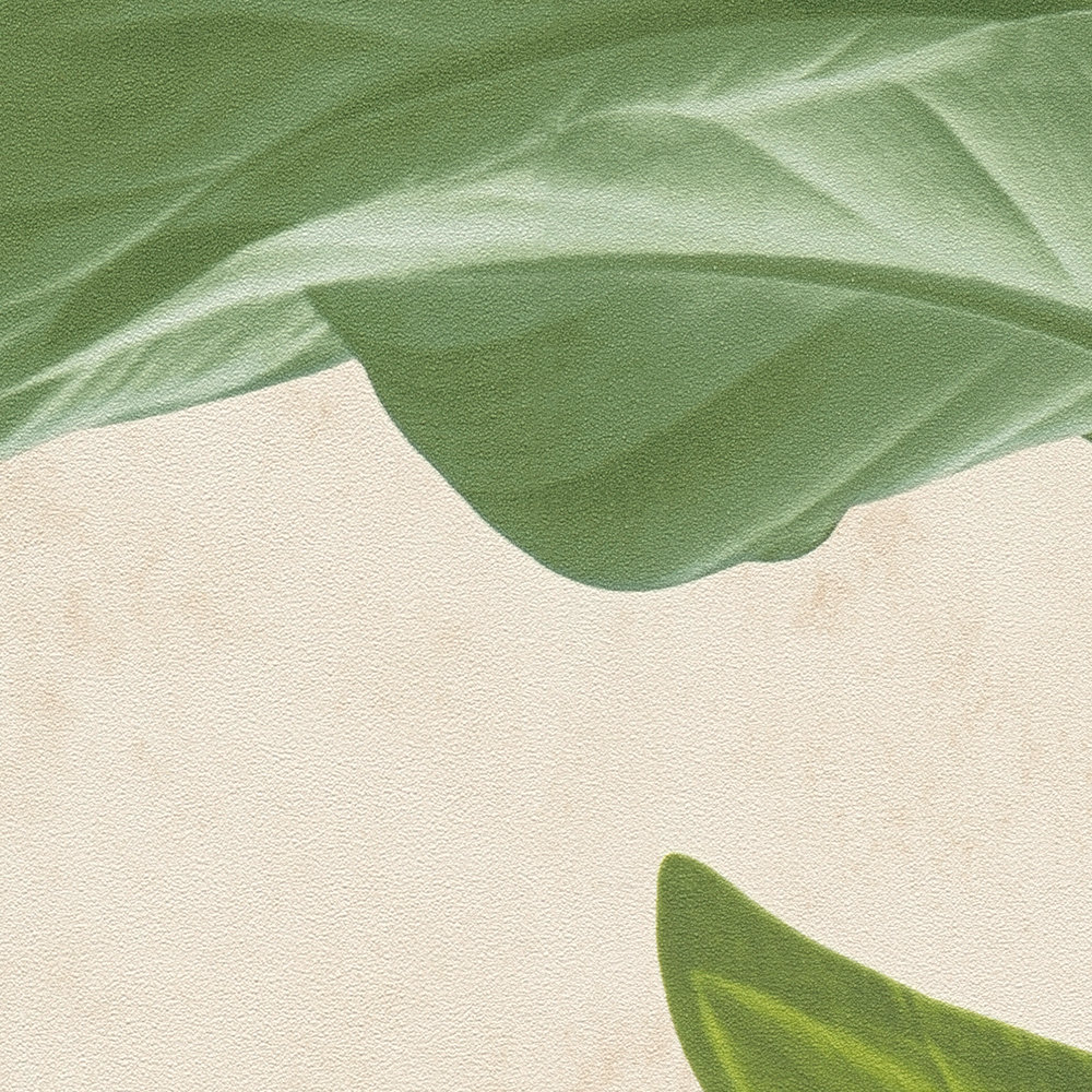             Papel pintado no tejido con diseño moderno de hojas - crema, verde
        