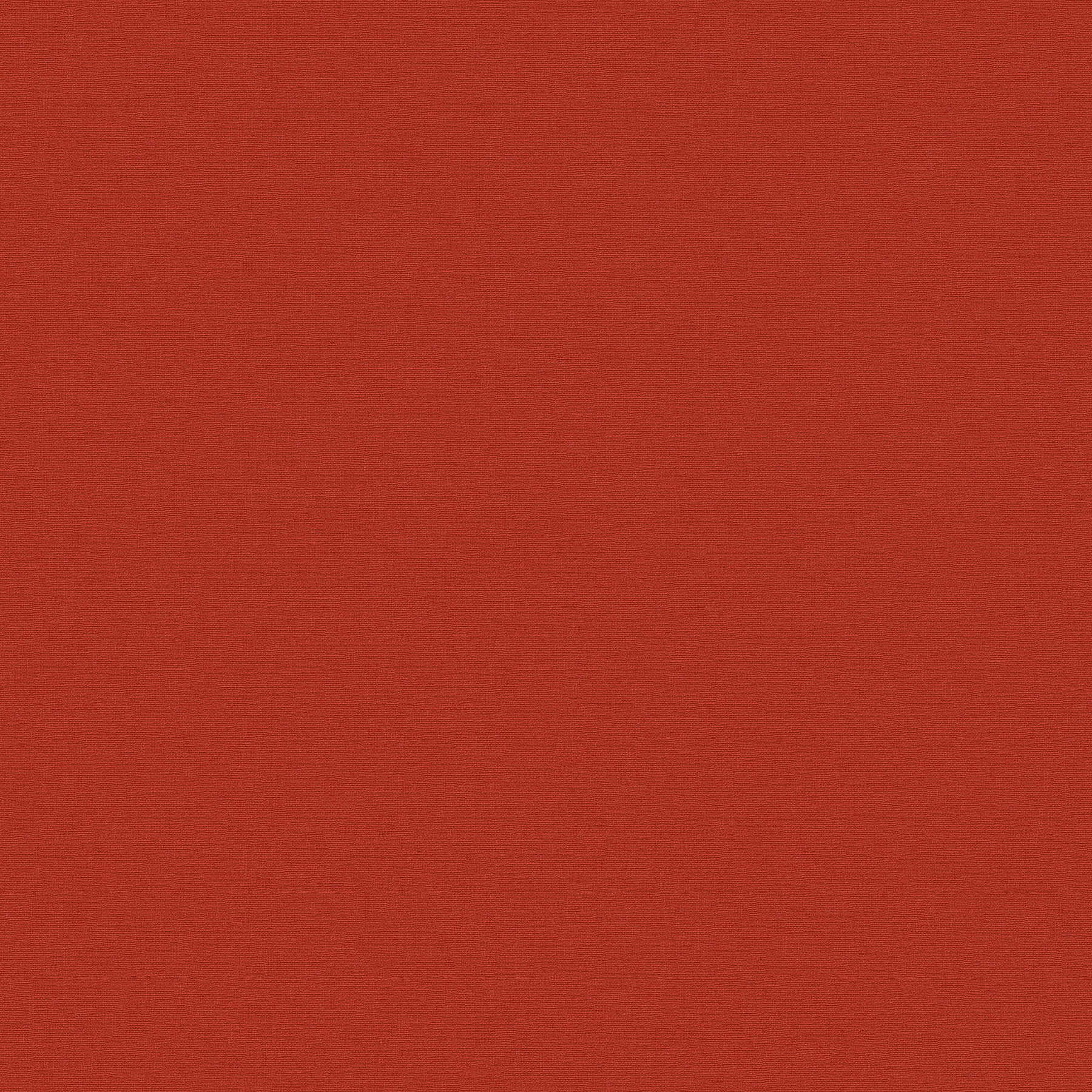 Papel pintado unitario liso con estructura ligera - rojo
