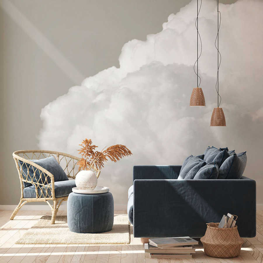 Mural de pared con nubes blancas en un cielo gris - Gris, Blanco
