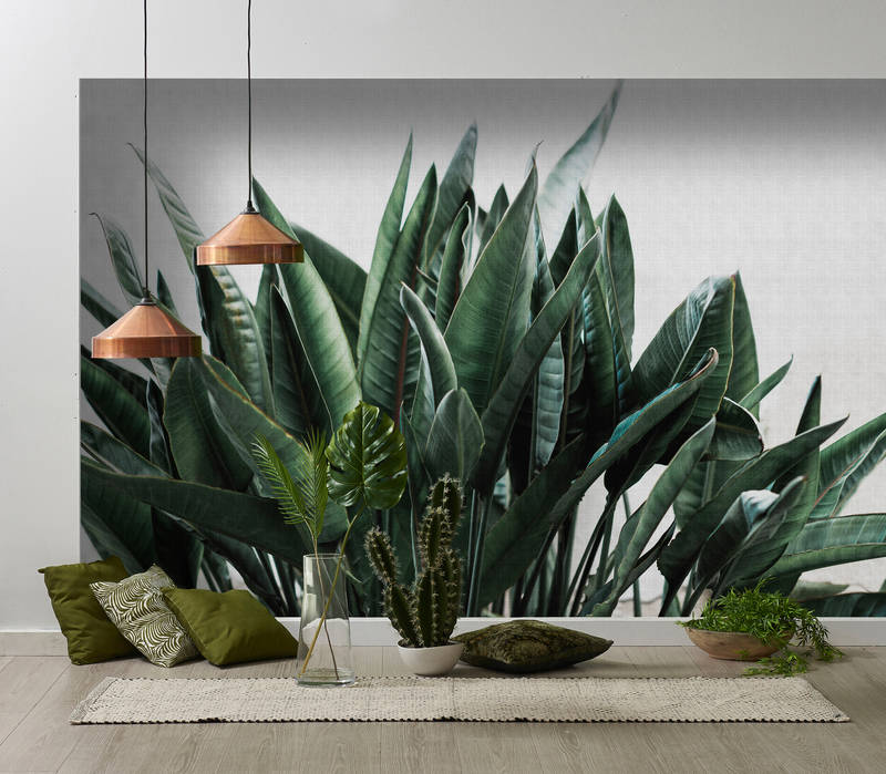             Urban jungle 2 - Papier peint feuilles de palmier, texture lin naturel plantes exotiques - gris, vert | Premium intissé lisse
        