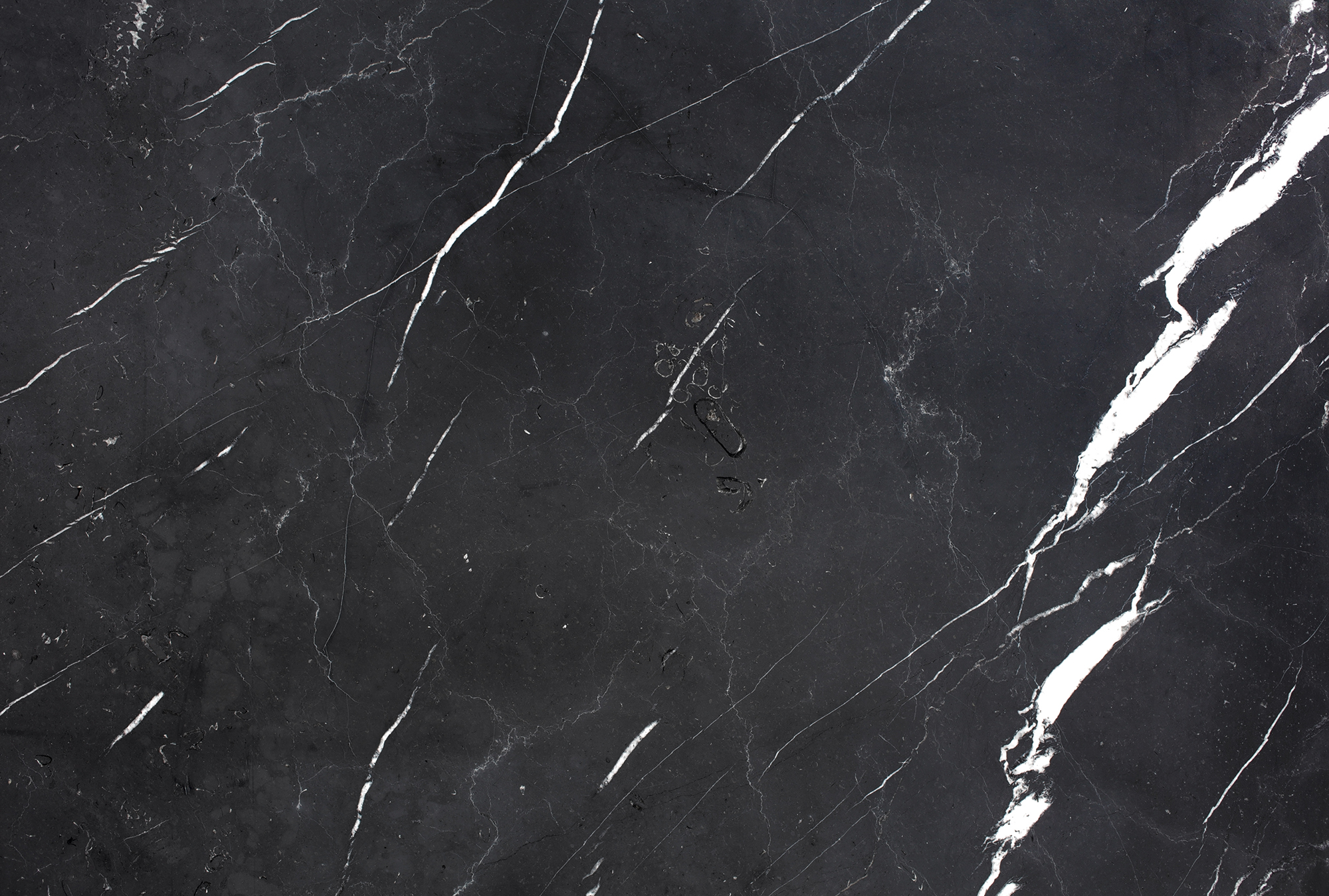             Carta da parati in marmo nero con leggera marmorizzazione - Nero, bianco
        