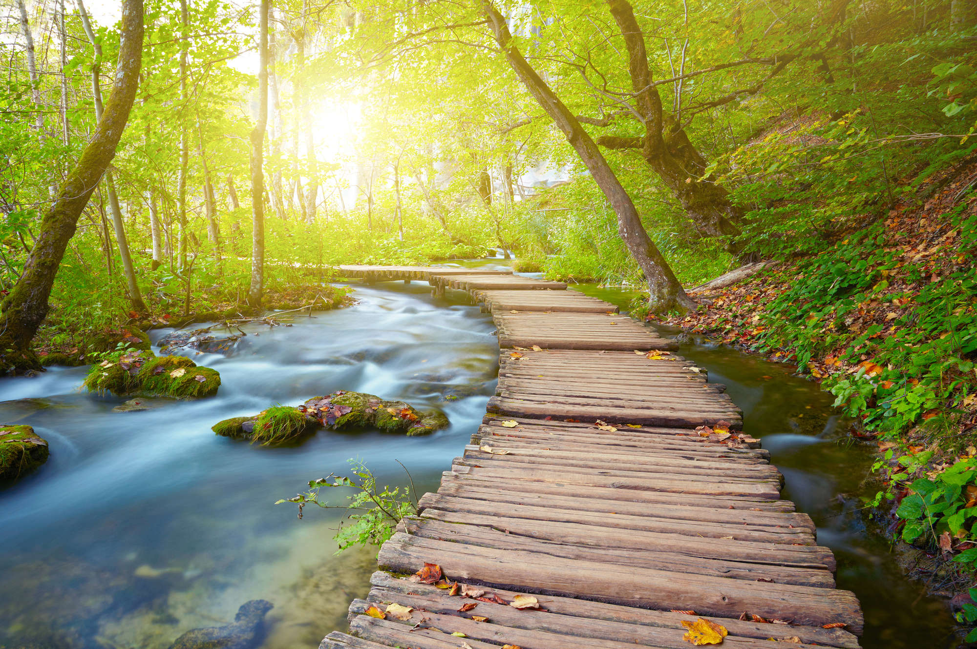             Natuurbehang rivier in het bos met houten brug op parelmoer glad vlies
        