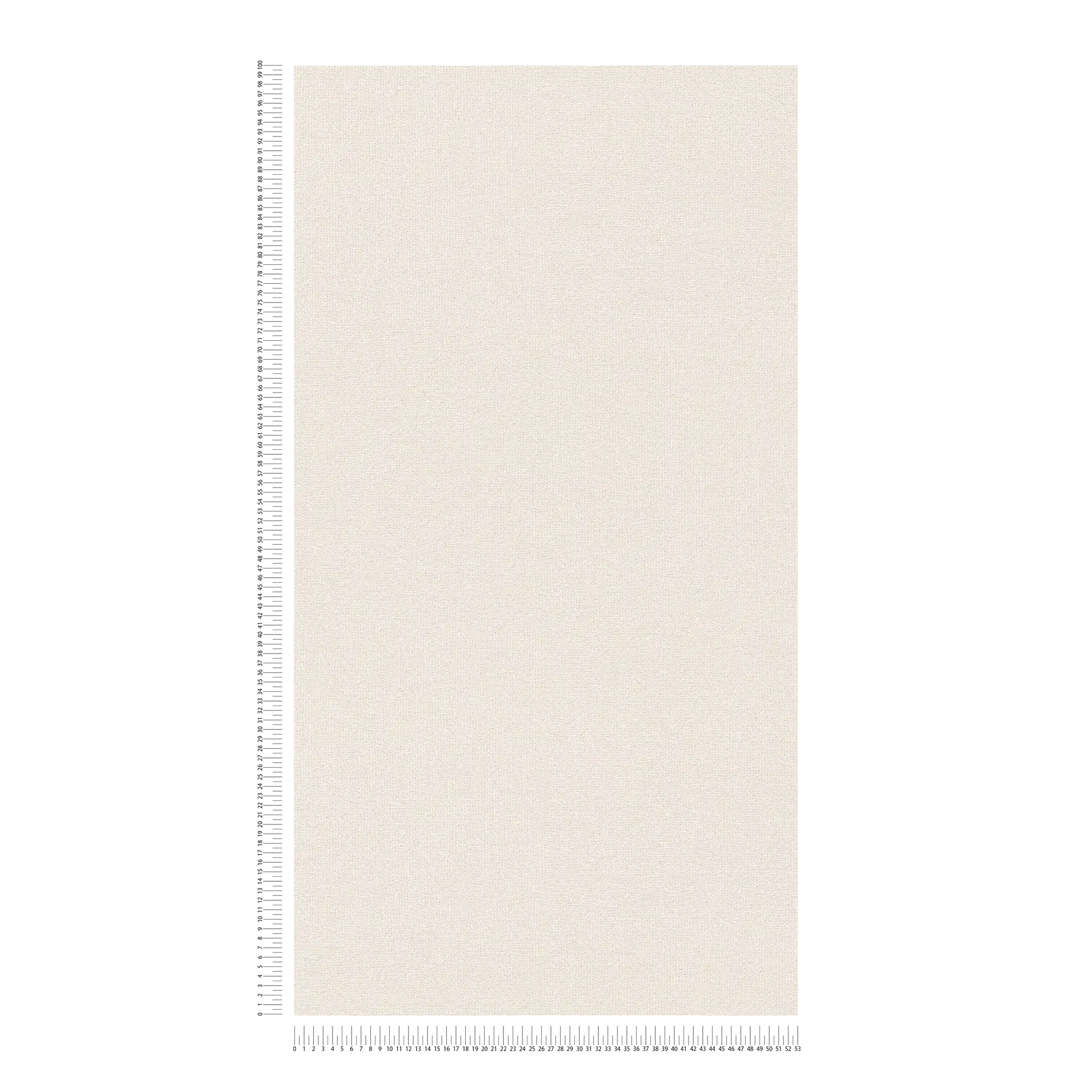             Papier peint intissé naturel mat à structure lin - crème, beige
        