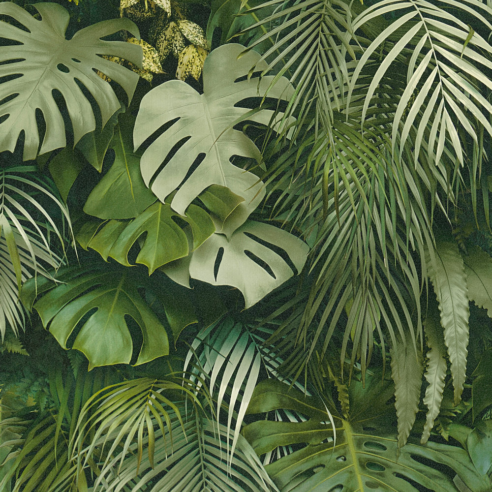             Carta da parati foresta di foglie verdi, realistica, accenti di colore - verde
        