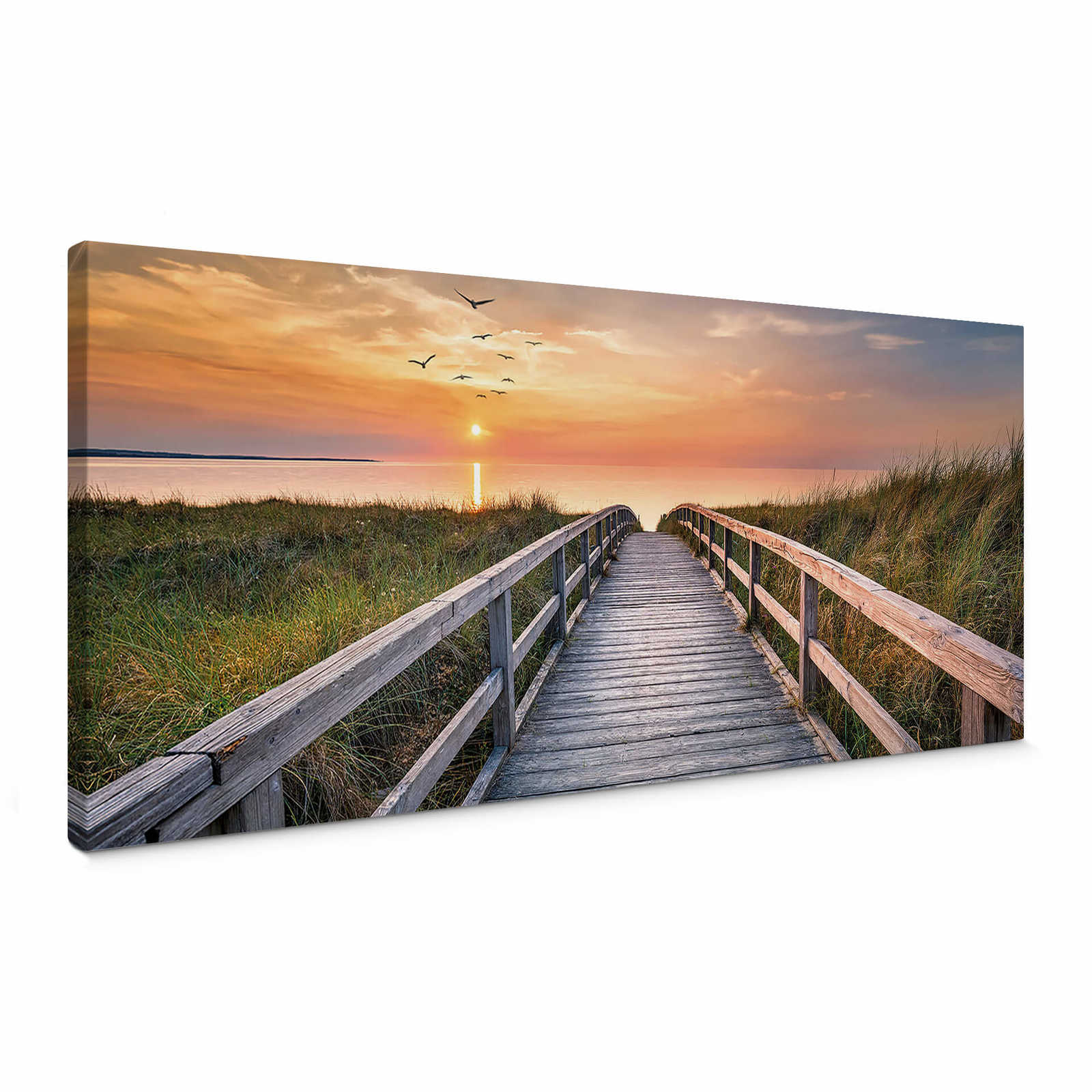 Panoramic canvas print of North Sea dunes at sunset
