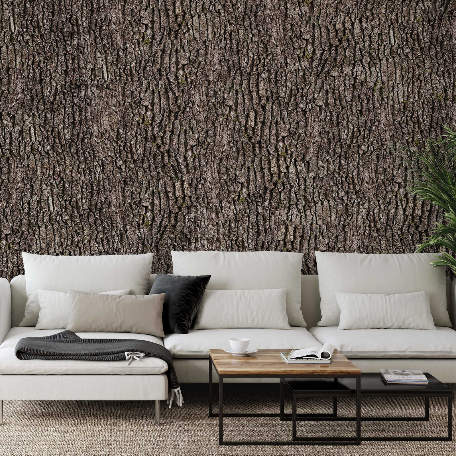             Bark wall on photo wallpaper - Brown, Grey
        
