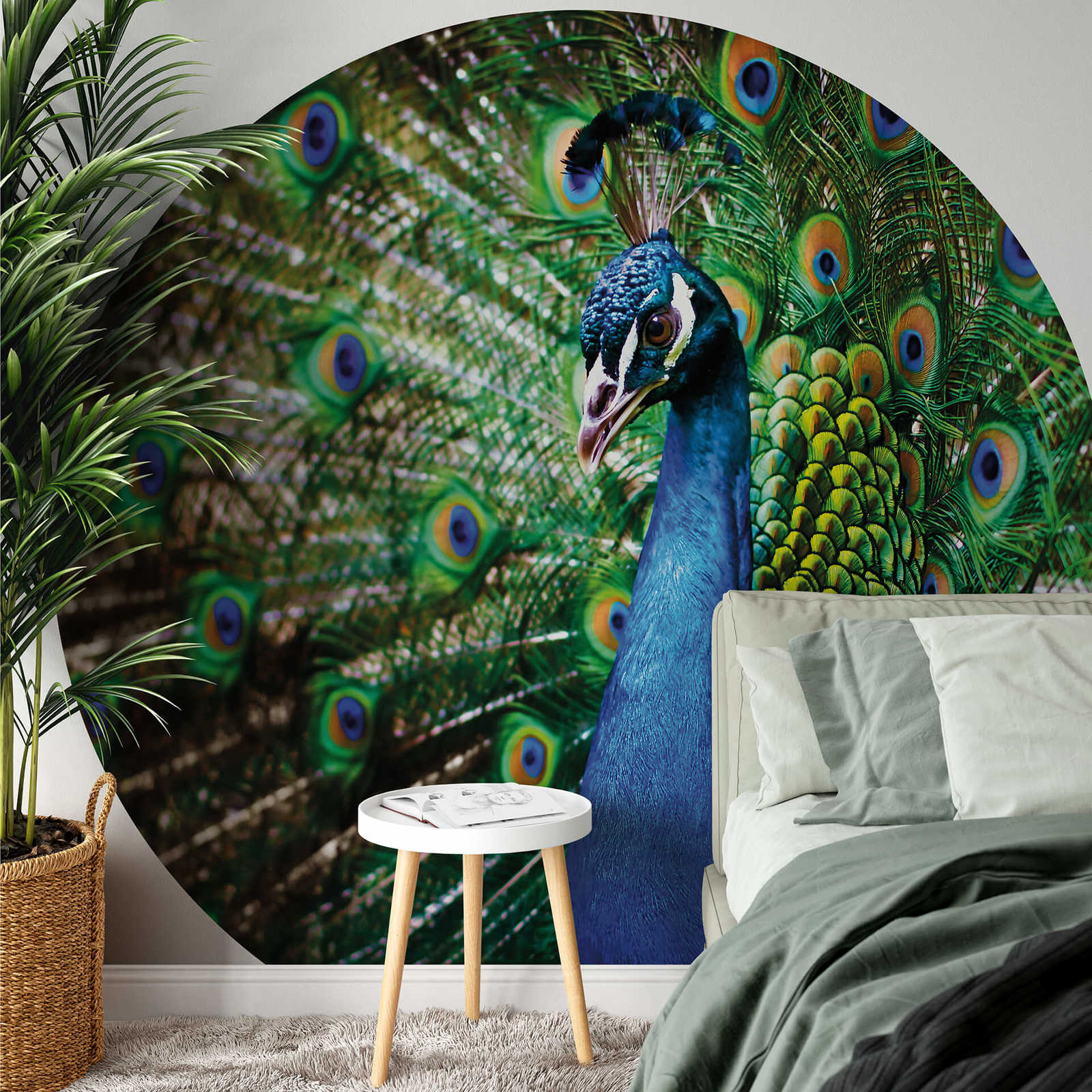             Photo wallpaper round peacock - green, blue, yellow
        