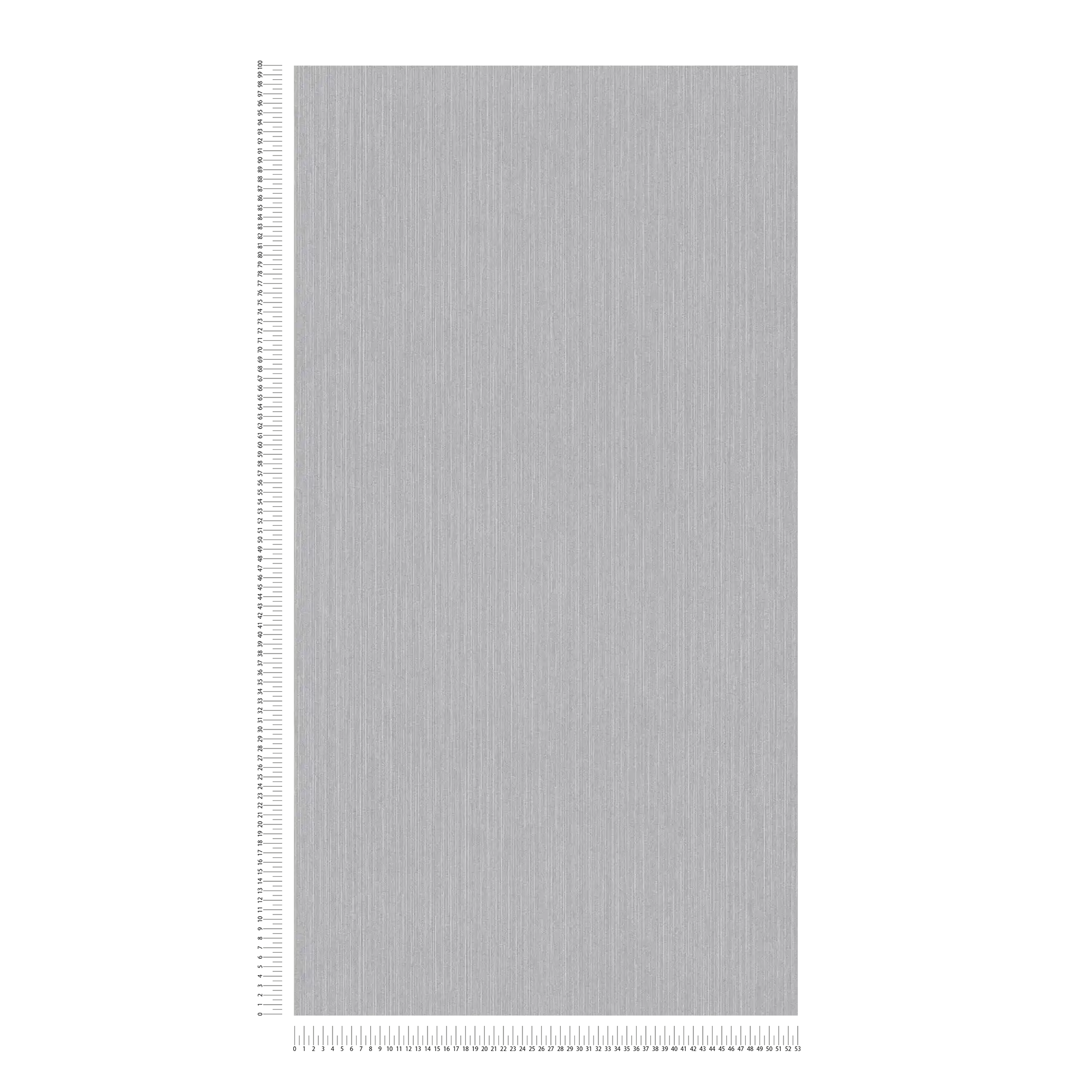             Papier peint intissé gris clair avec effet brillant & motif ligné - gris
        