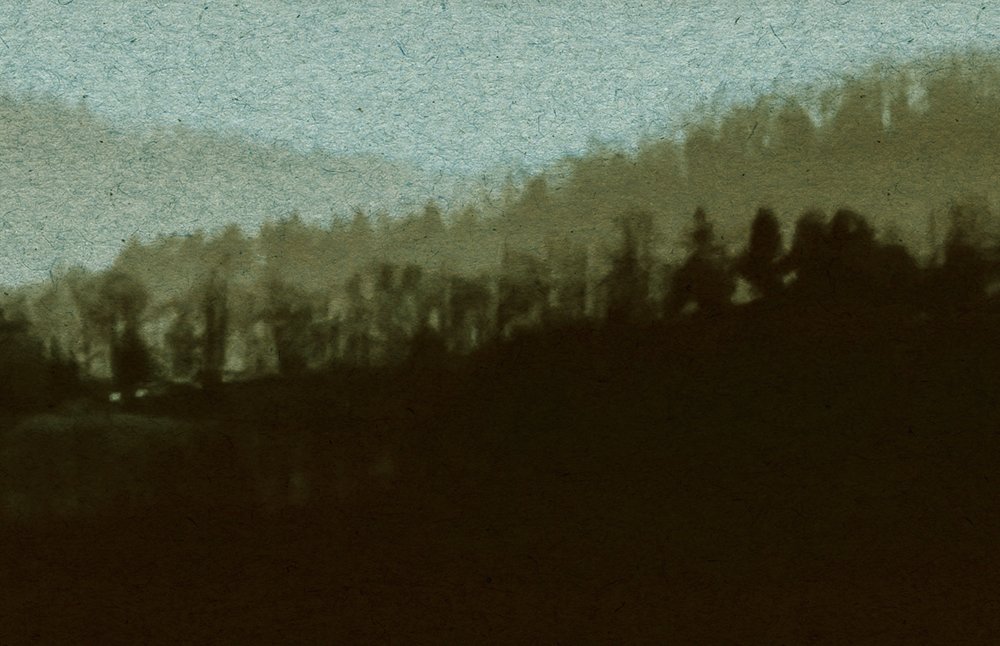             Horizon 2 - Carta da parati strutturata in cartone con paesaggio di nebbia, linea del cielo naturale - Beige, Verde | Materiali non tessuto liscio opaco
        