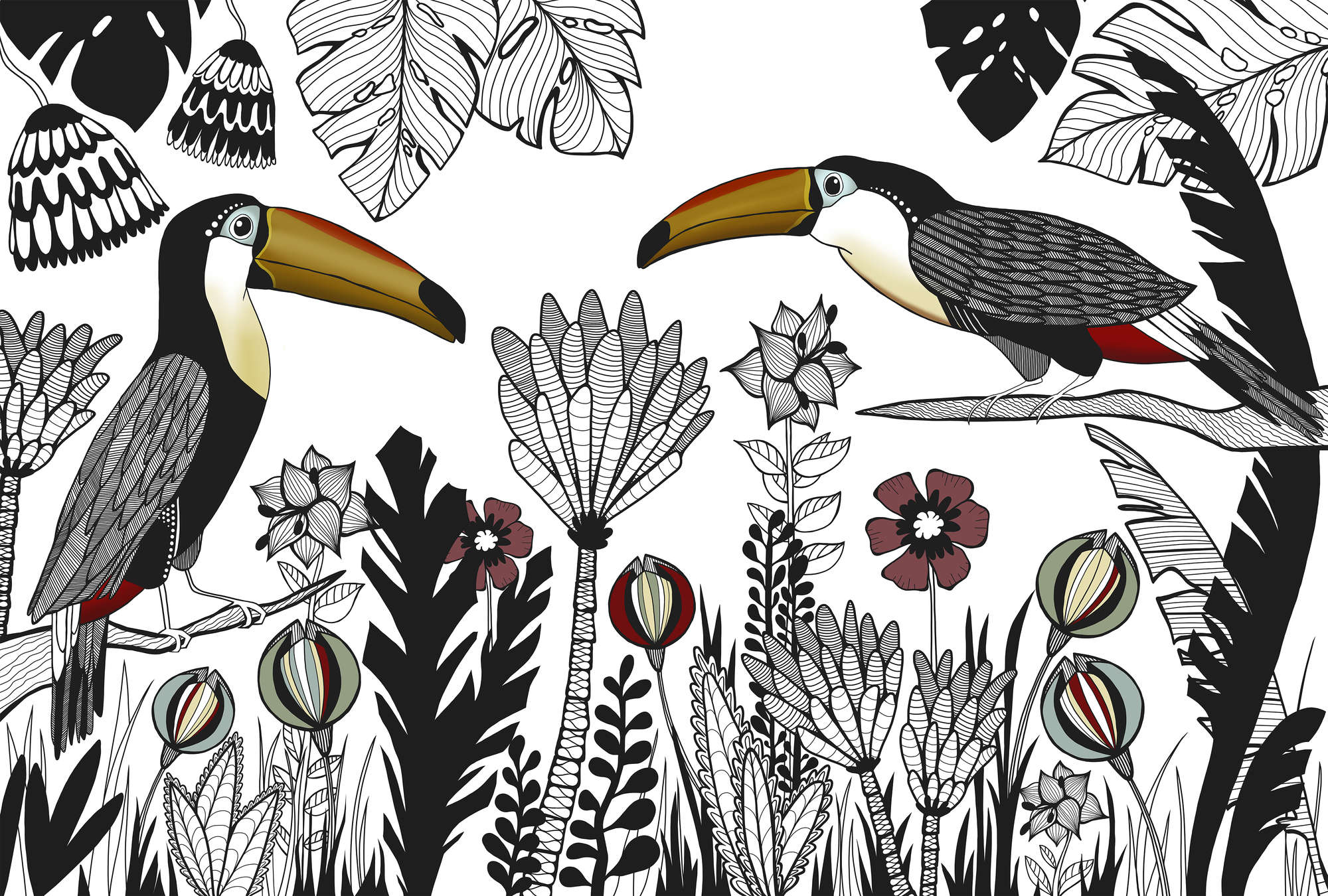             Bird mural toucan with tropical pattern in drawing style
        