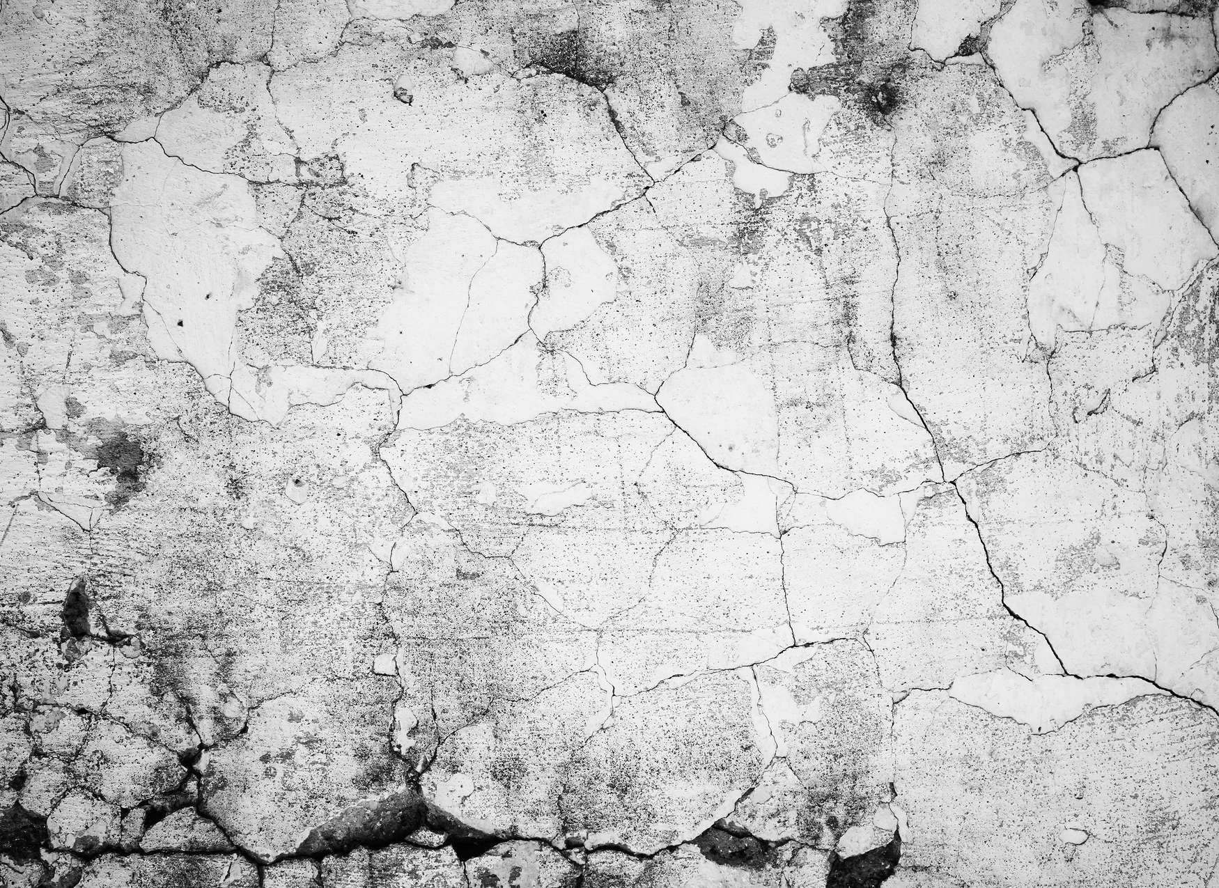             Rustic Concrete Wallpaper - White, Grey, Black
        