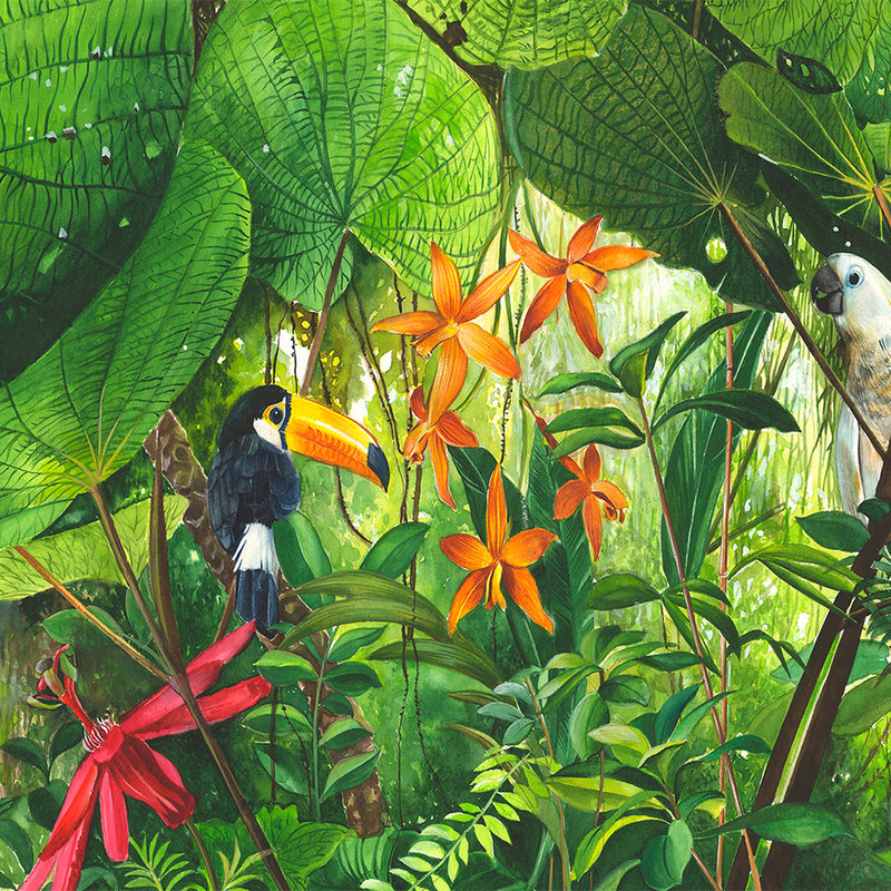 Fotomurali Jungle con tucano - Pile liscio opaco
