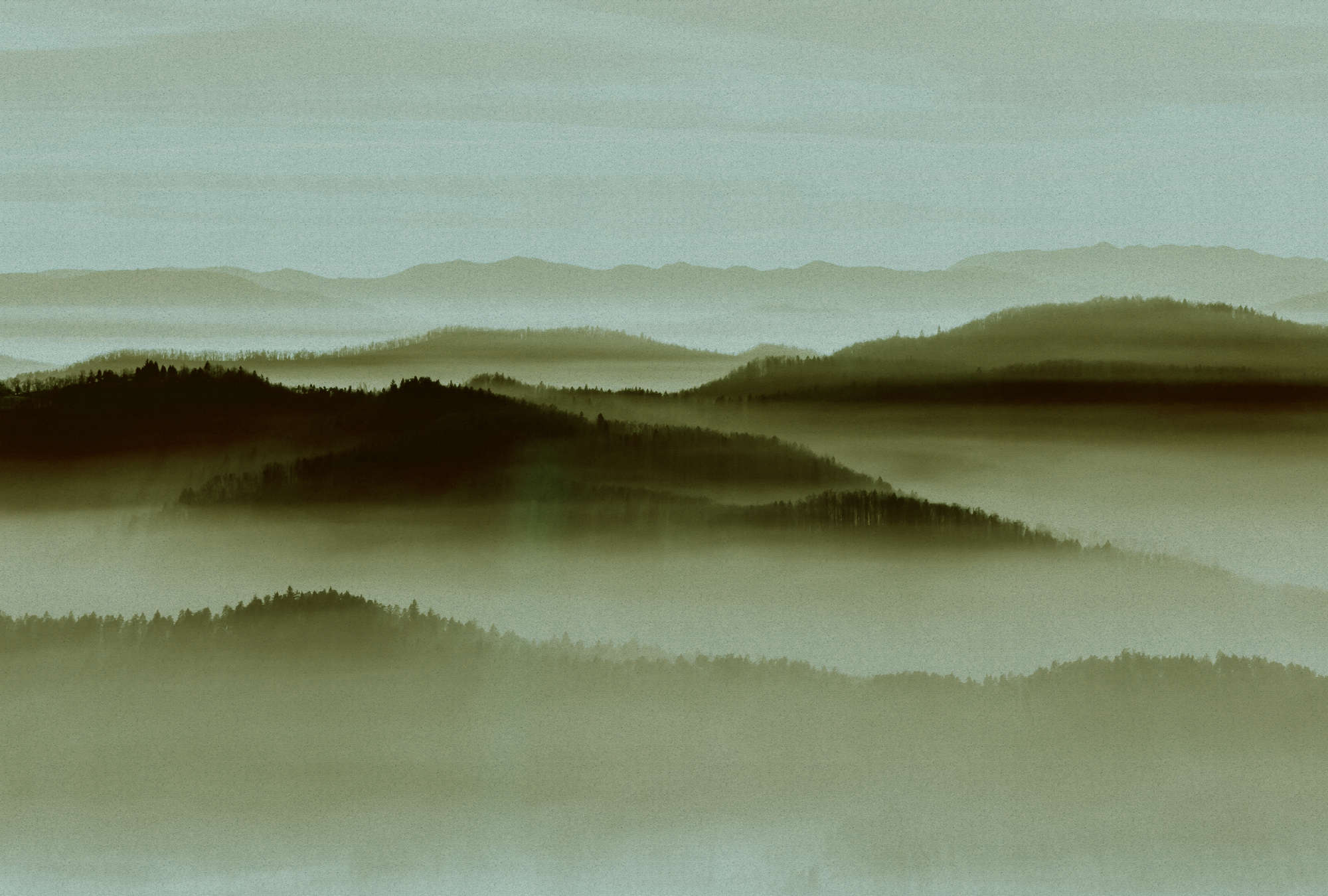             Horizon 2 - Papel pintado estructura cartón con paisaje niebla, naturaleza Sky Line - Beige, Verde | Estructura no tejida
        