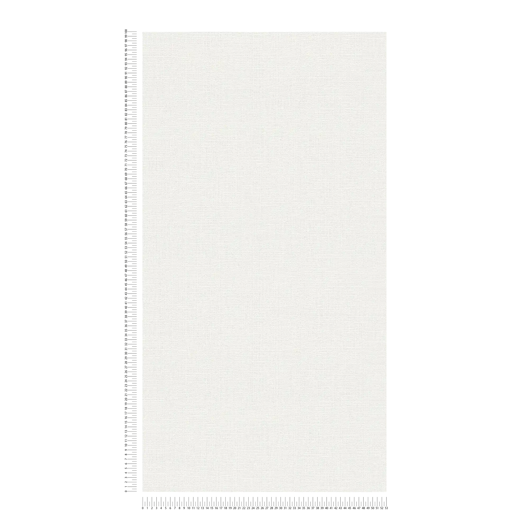             Carta da parati verniciabile con effetto lino - bianco
        